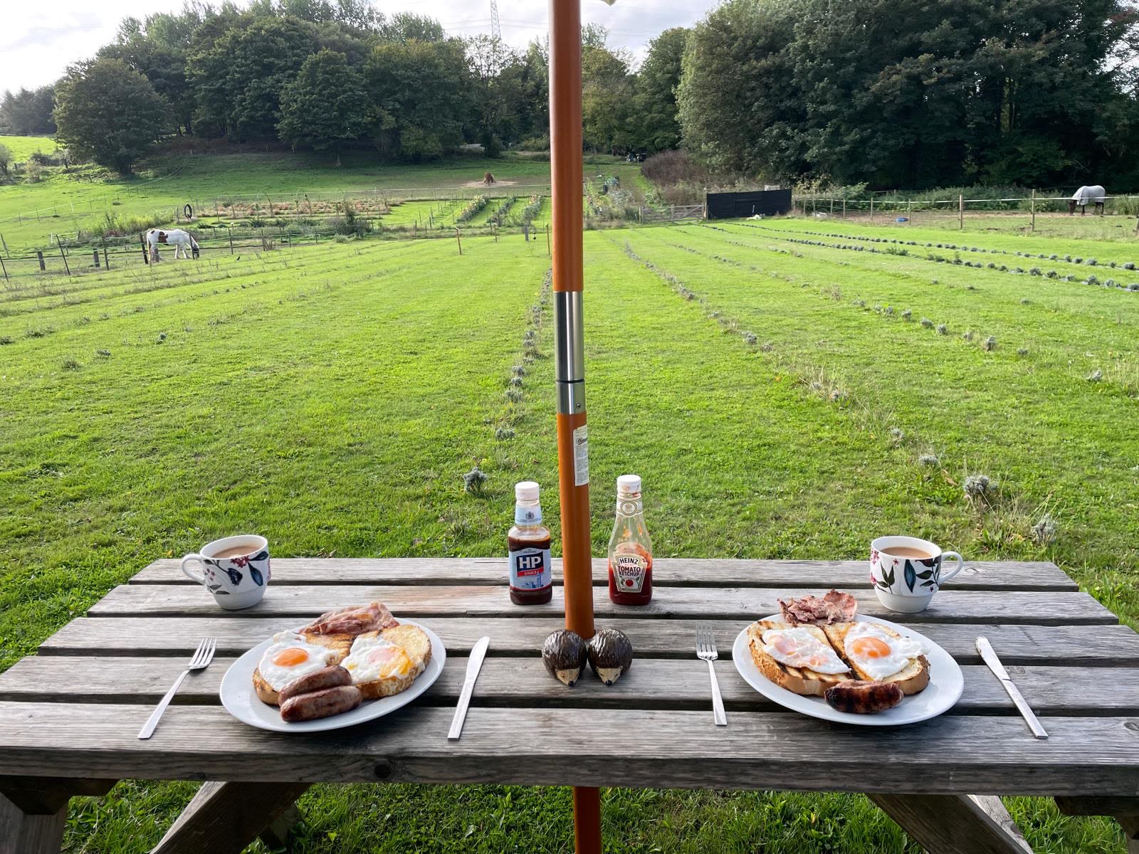 What a view for breakfast 