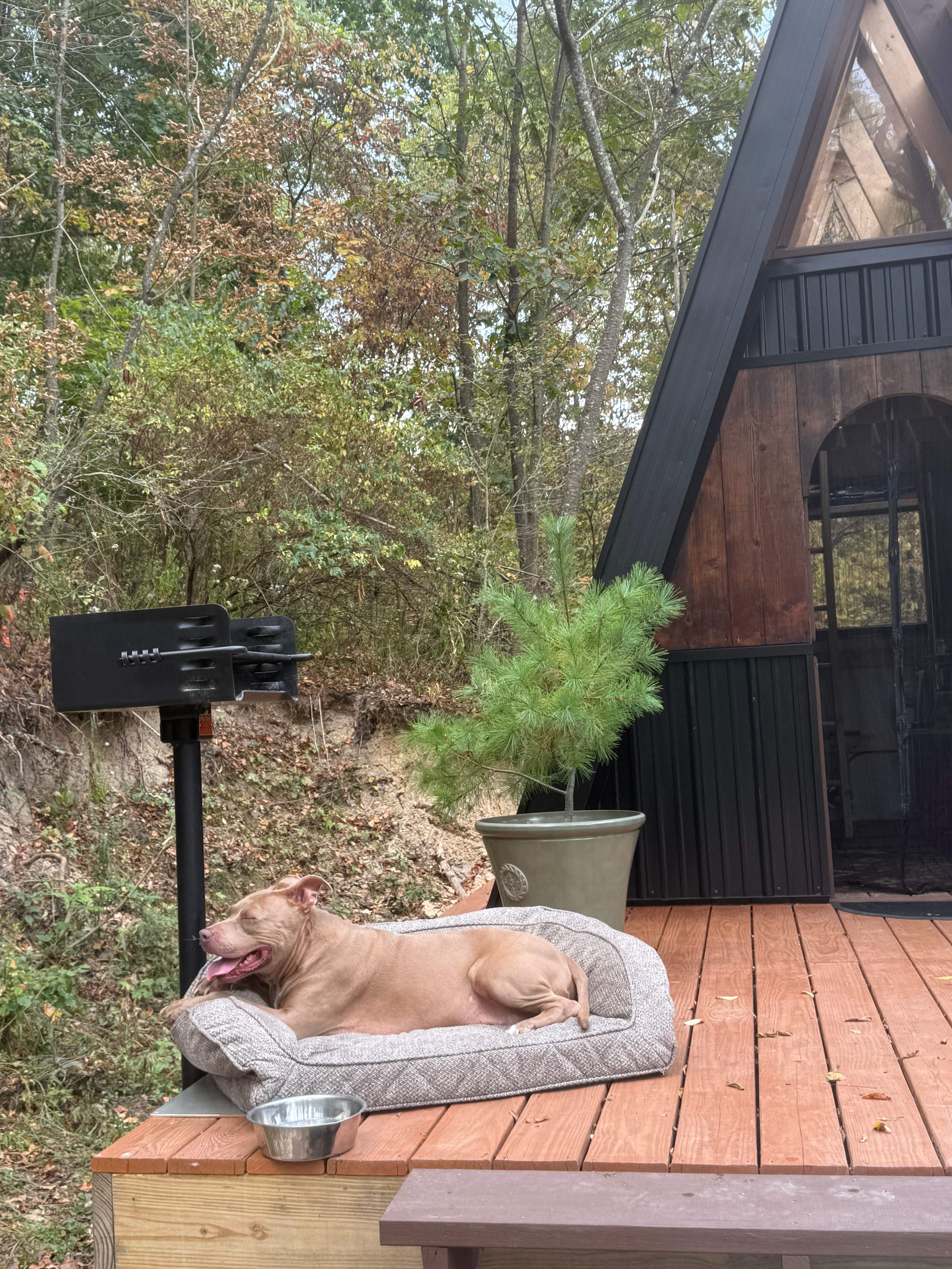 A-frame rustic cabin