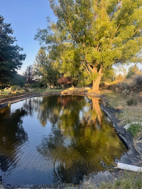 Sam's Farm near Bend