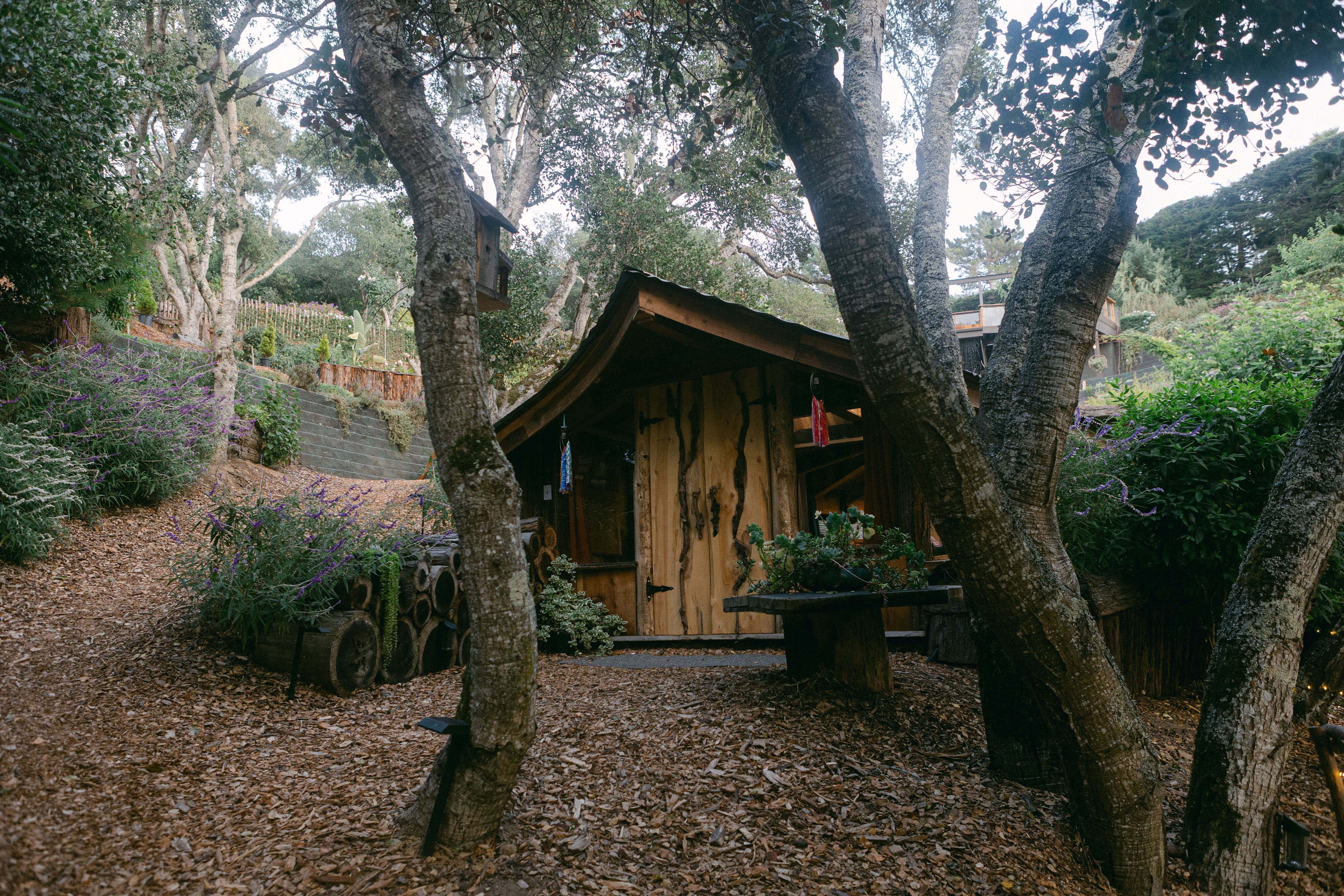 The Secret Gardens by the Bay