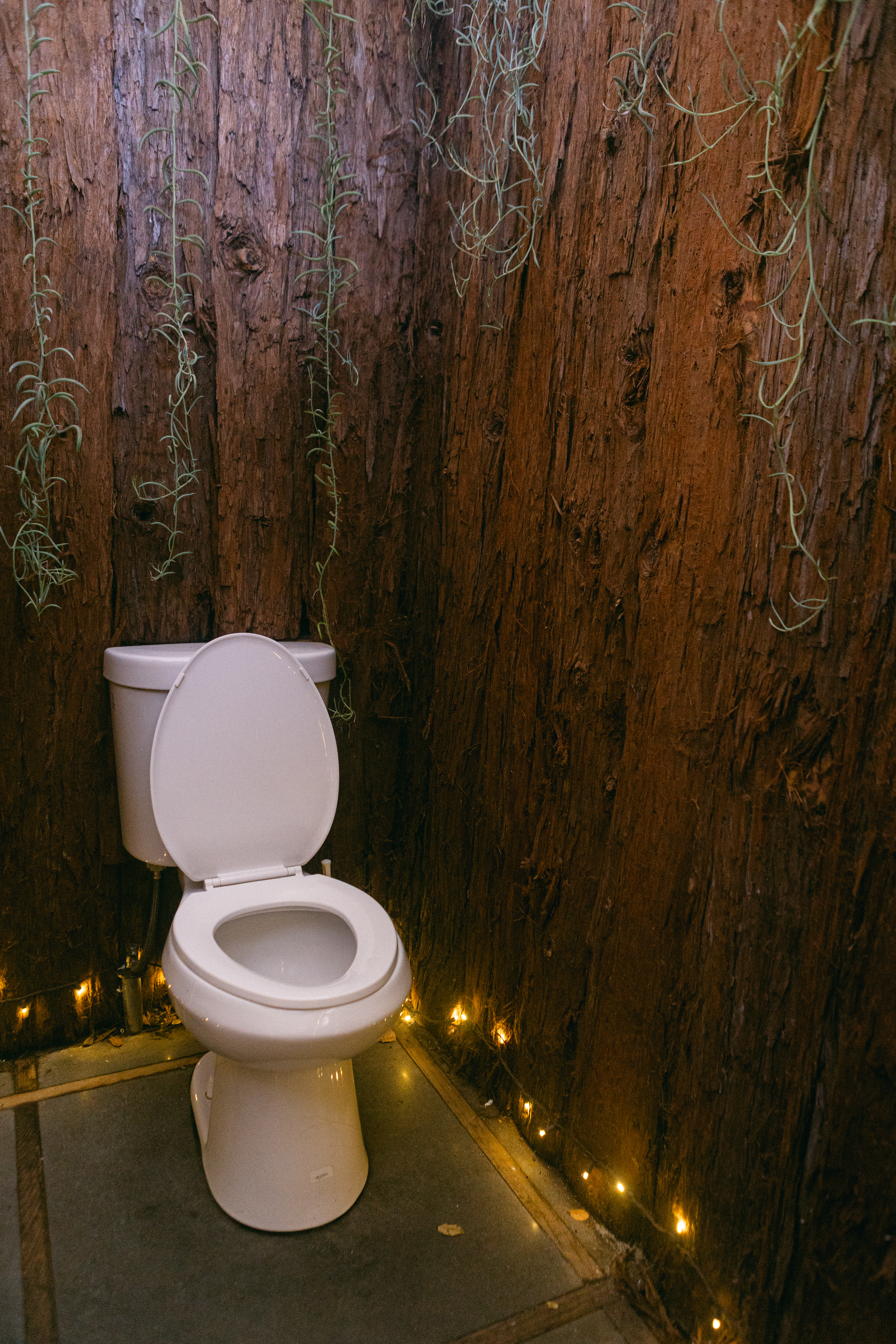 The Secret Gardens by the Bay