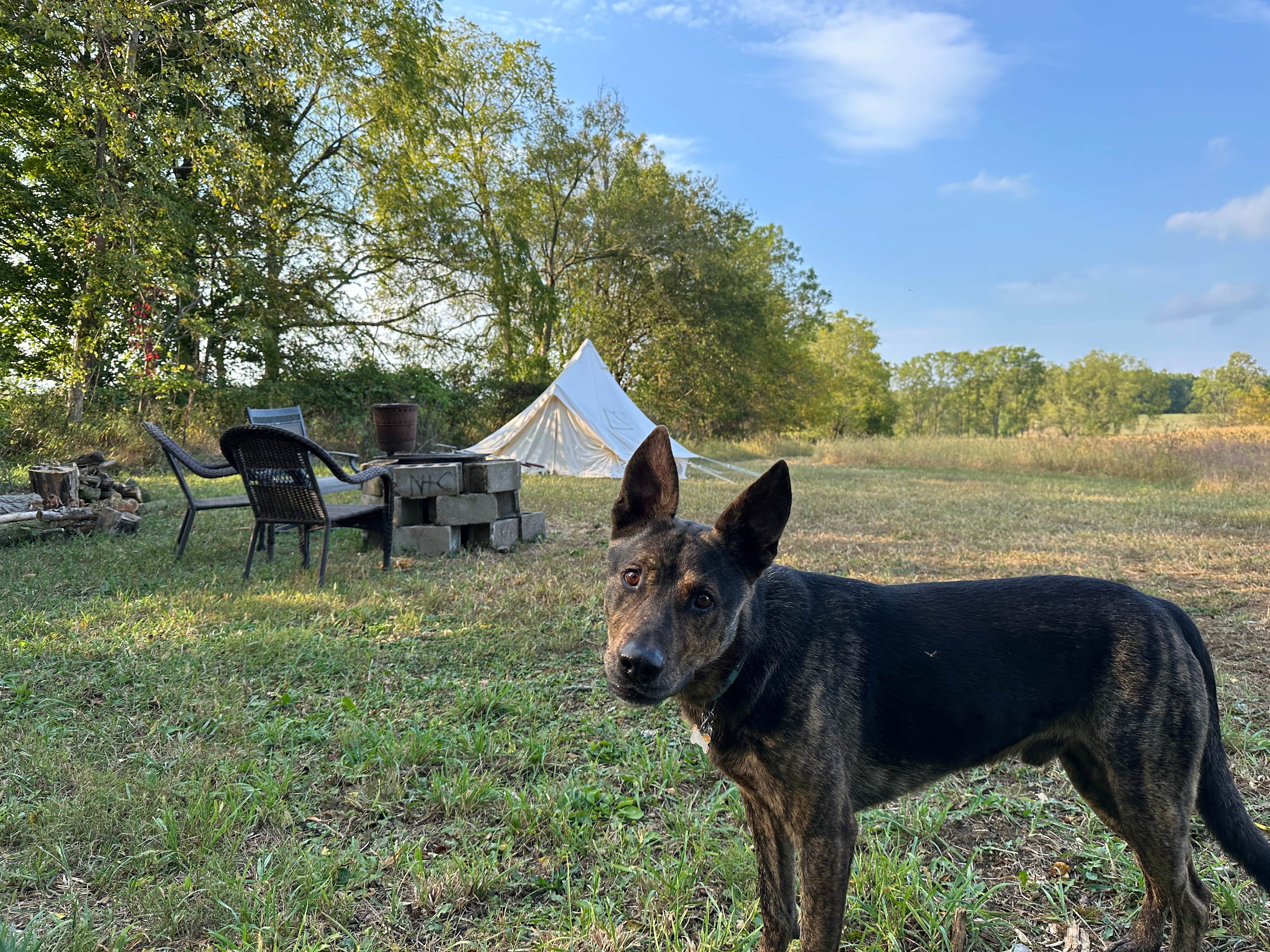 Backwoods River Camp WFBranch StJoe