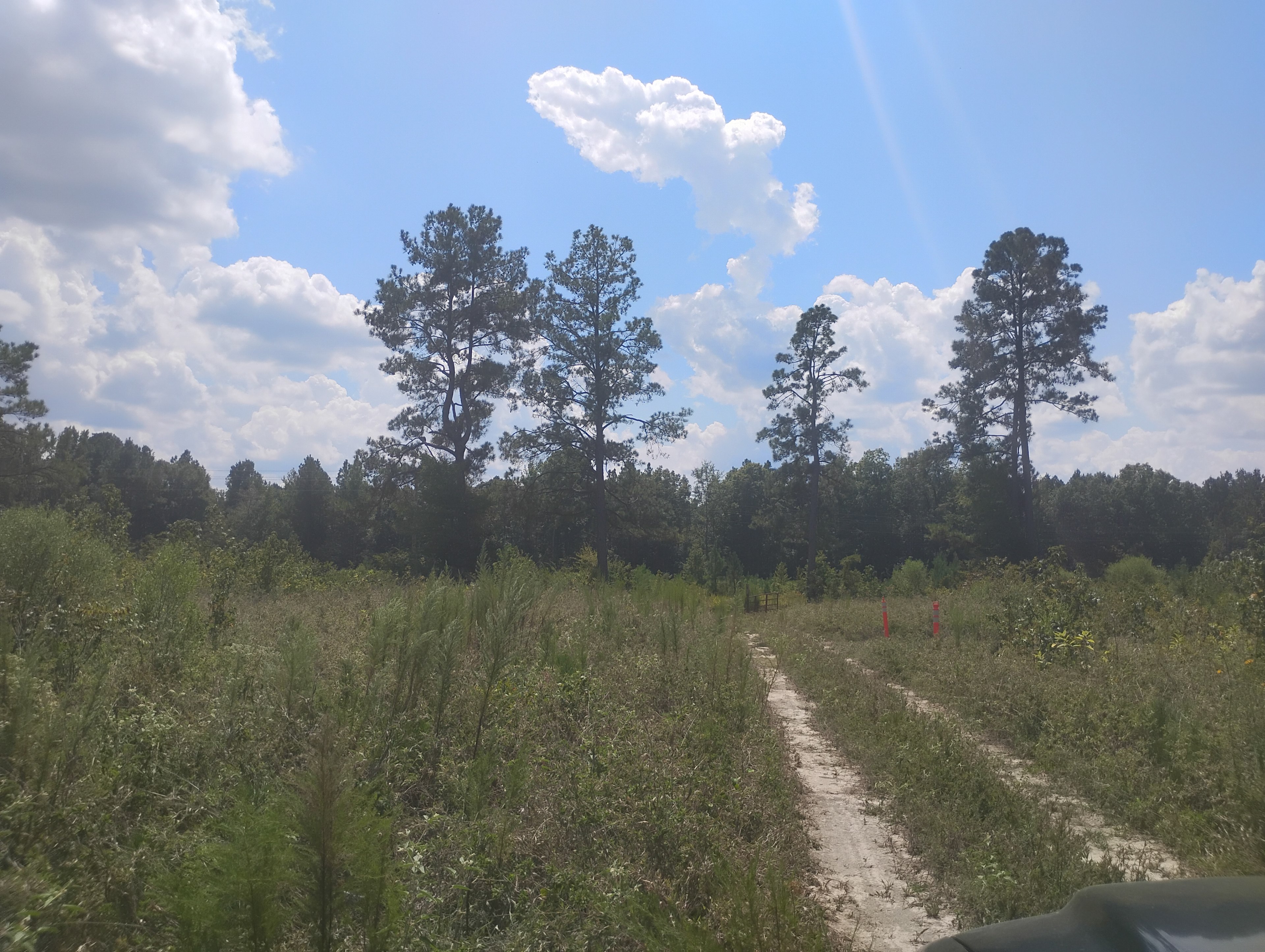 Wallfarm Recreational Park