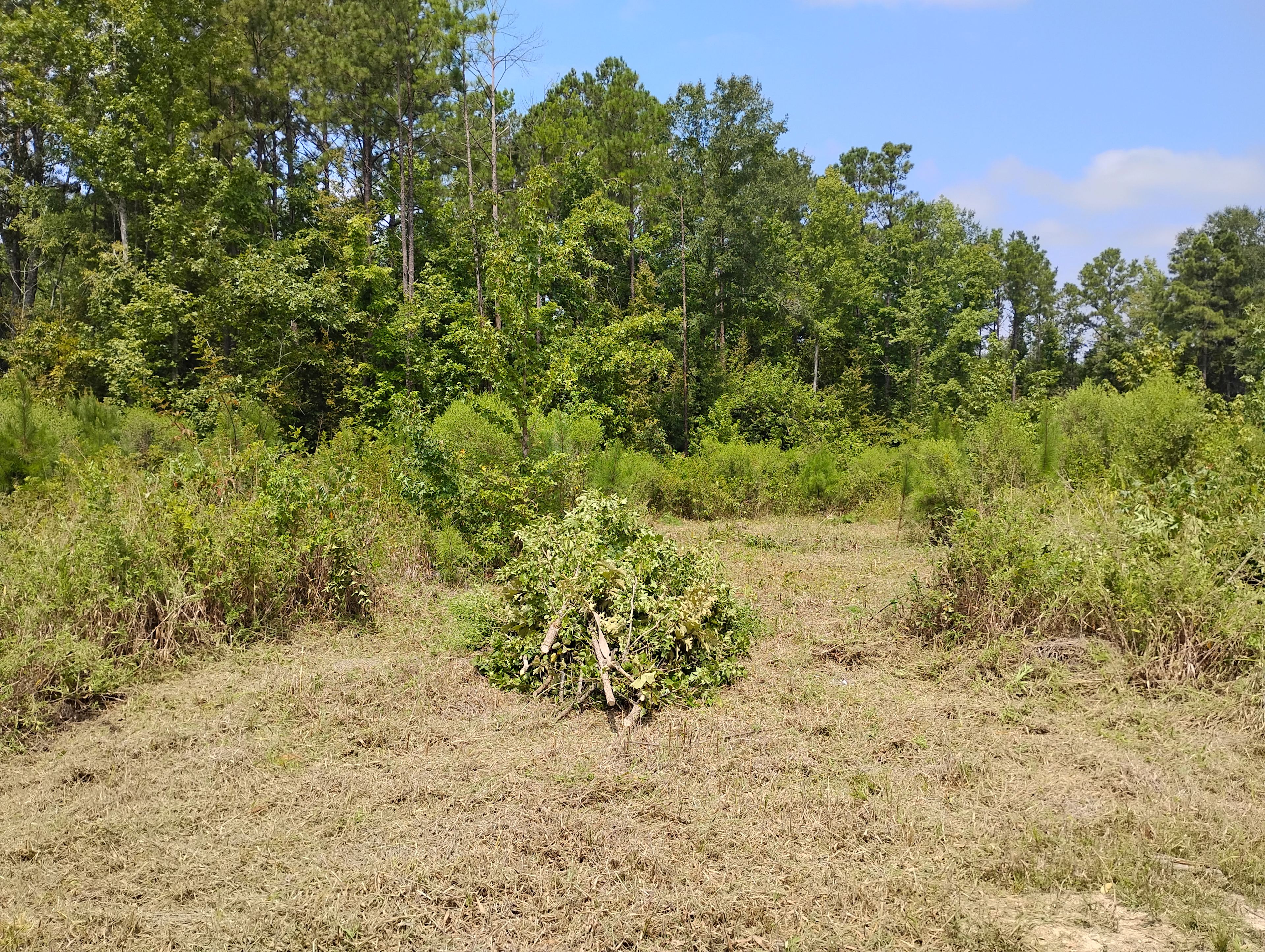 Wallfarm Recreational Park