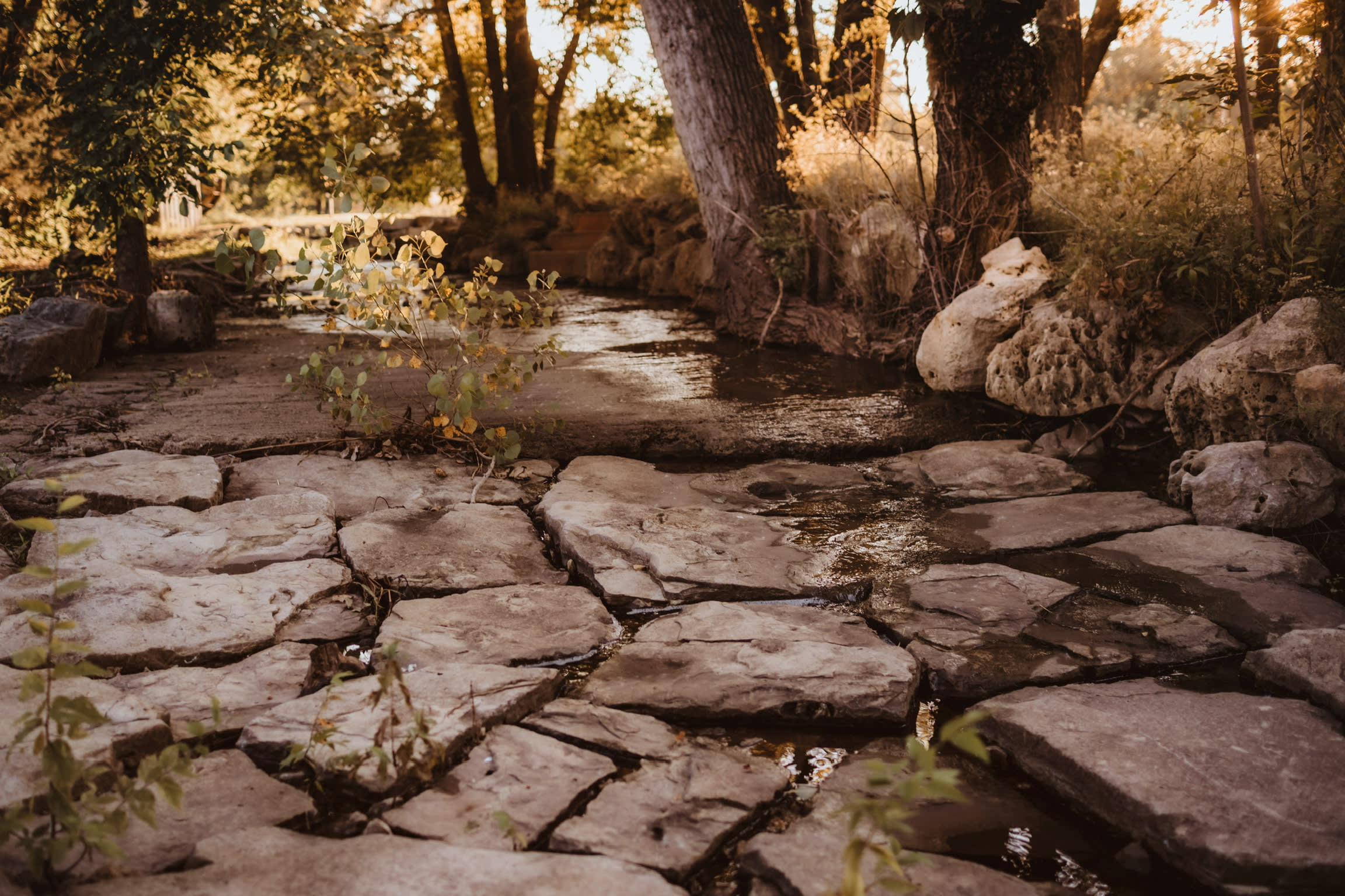 The Farm at Quail Valley