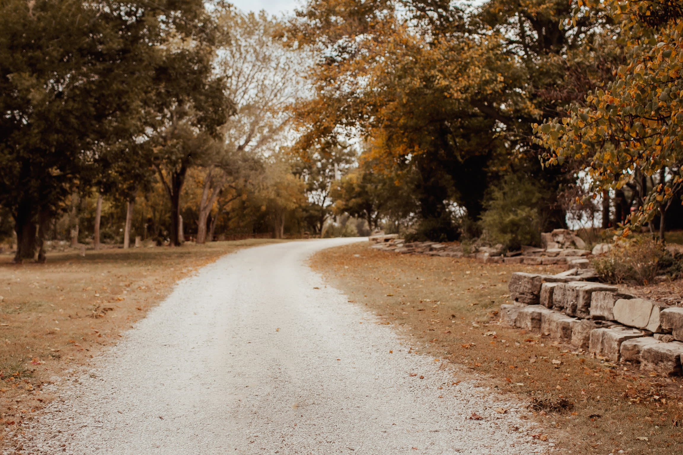 The beautiful entrance into the Farm. 