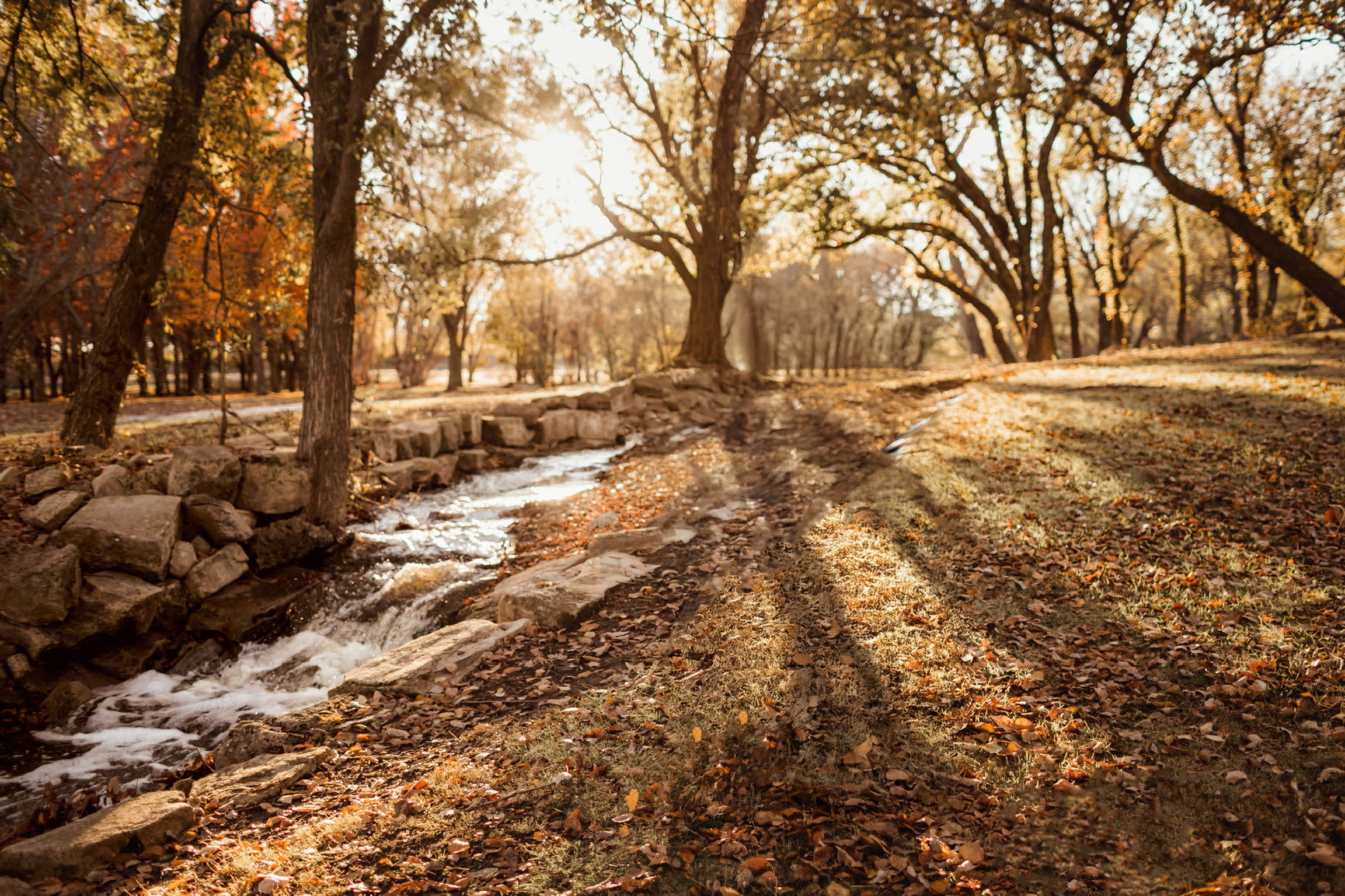 The Farm at Quail Valley