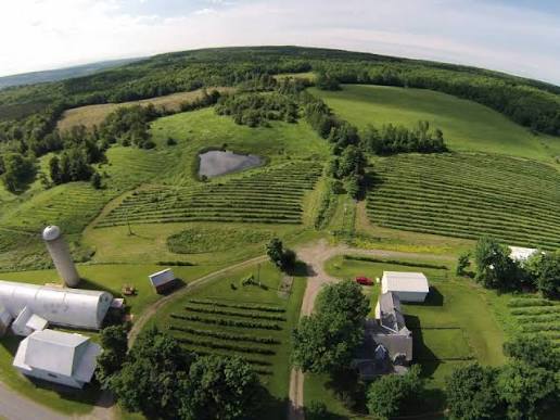The Nests At Hummingbird Hills
