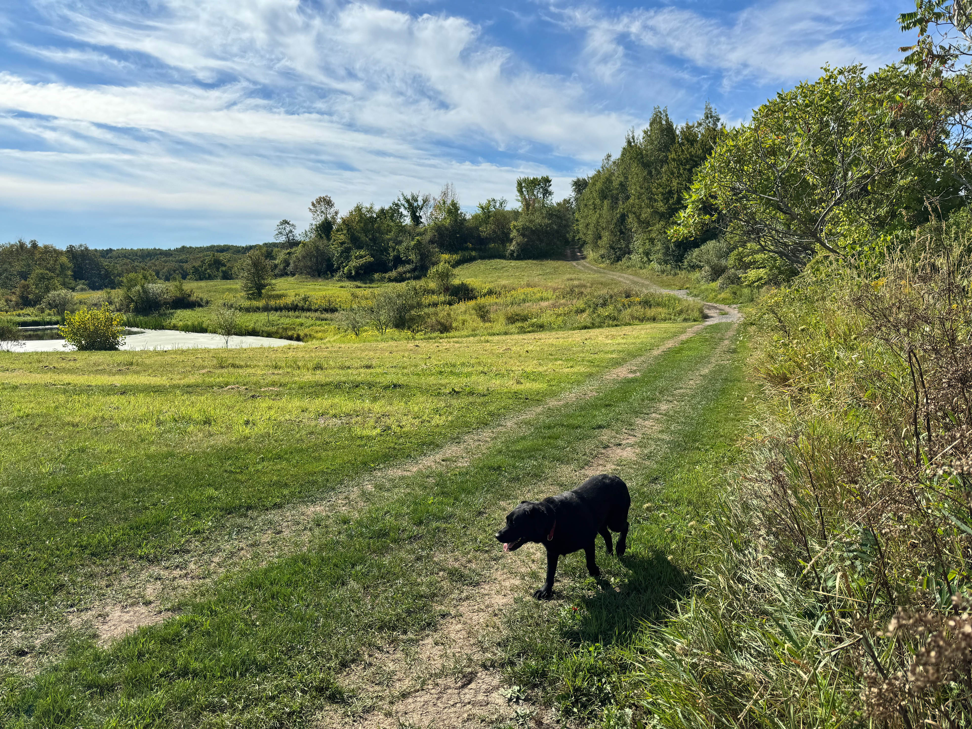 The Nests At Hummingbird Hills