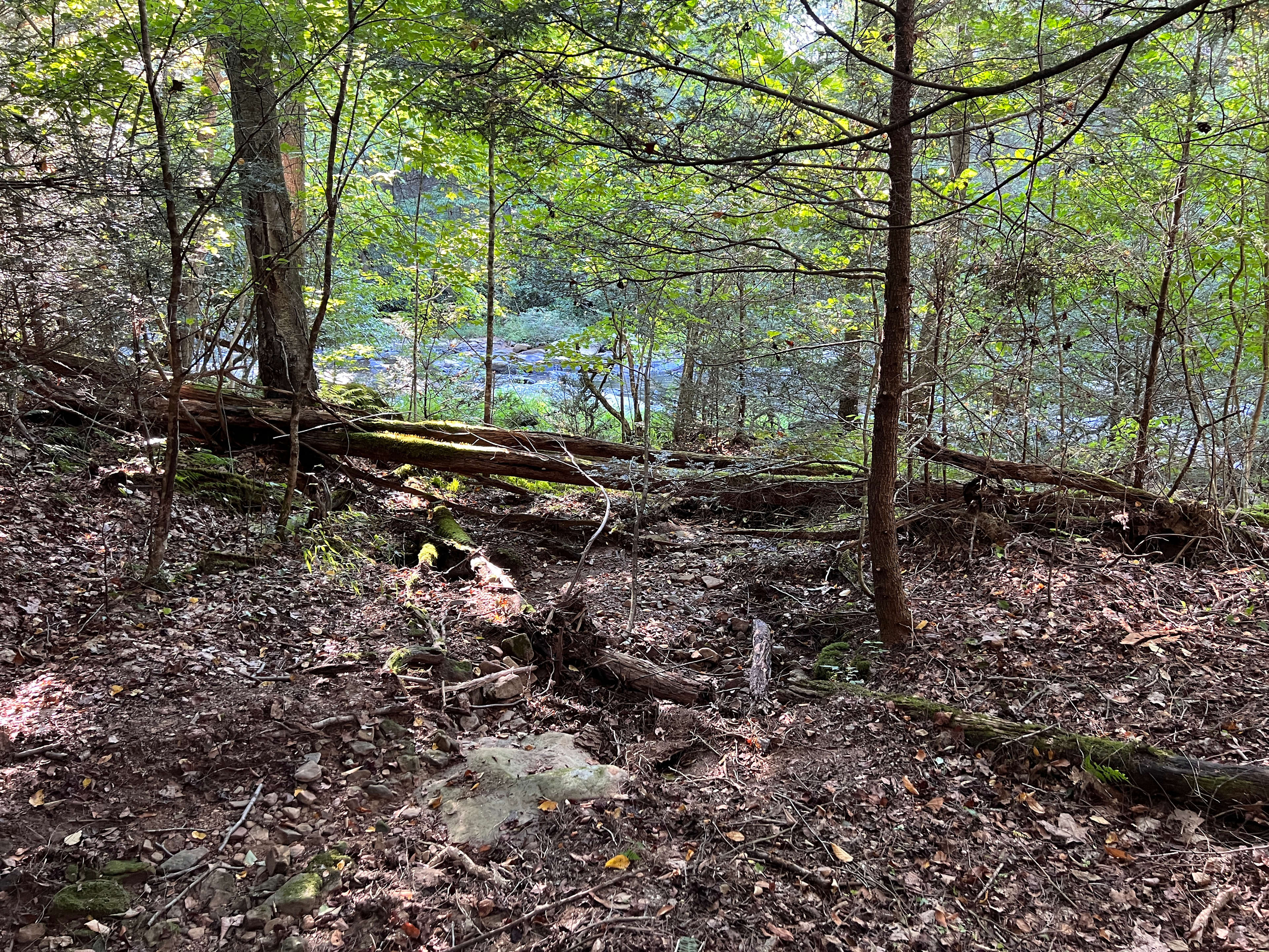 Little Sandy Retreat