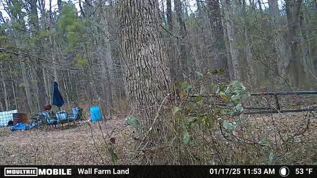 Wallfarm Recreational Park