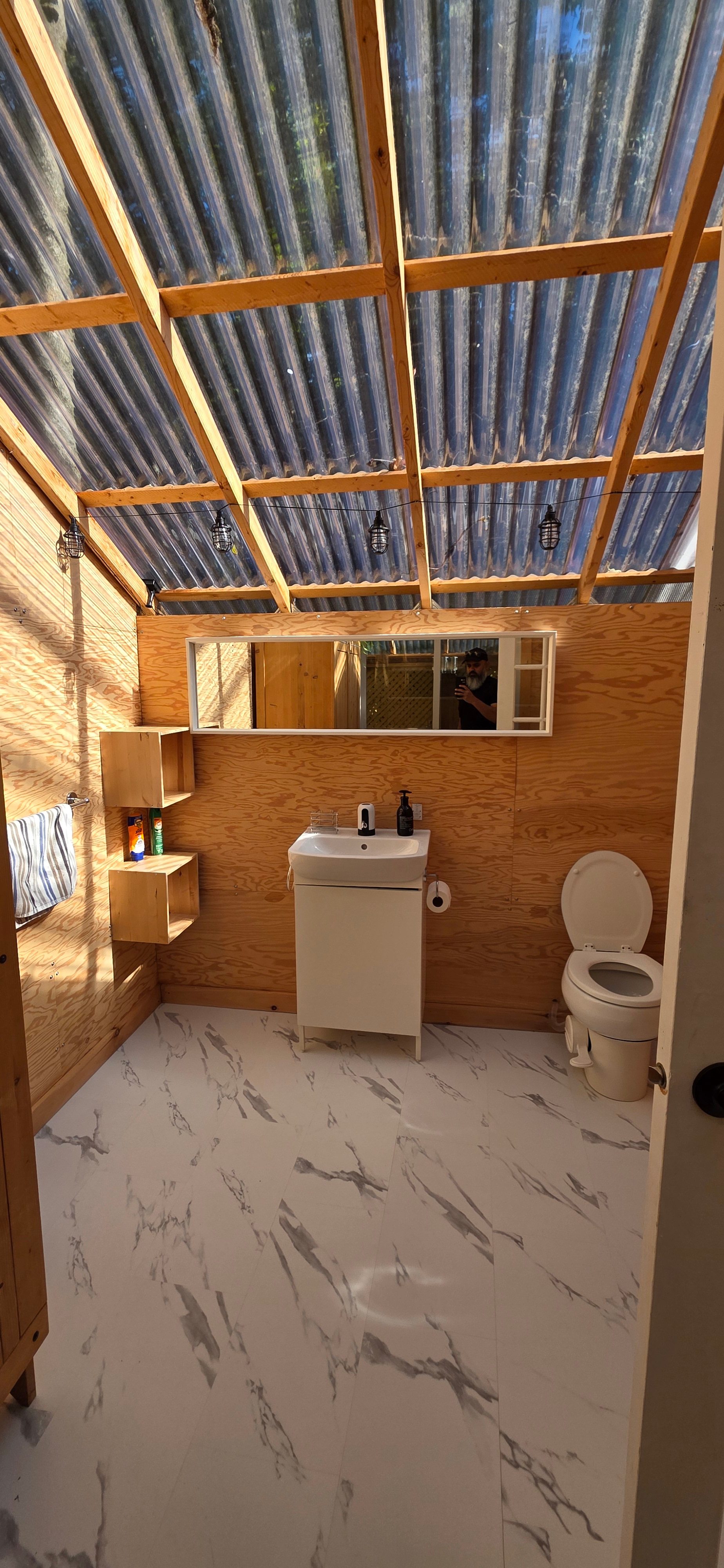 Old-Growth Maple Forest