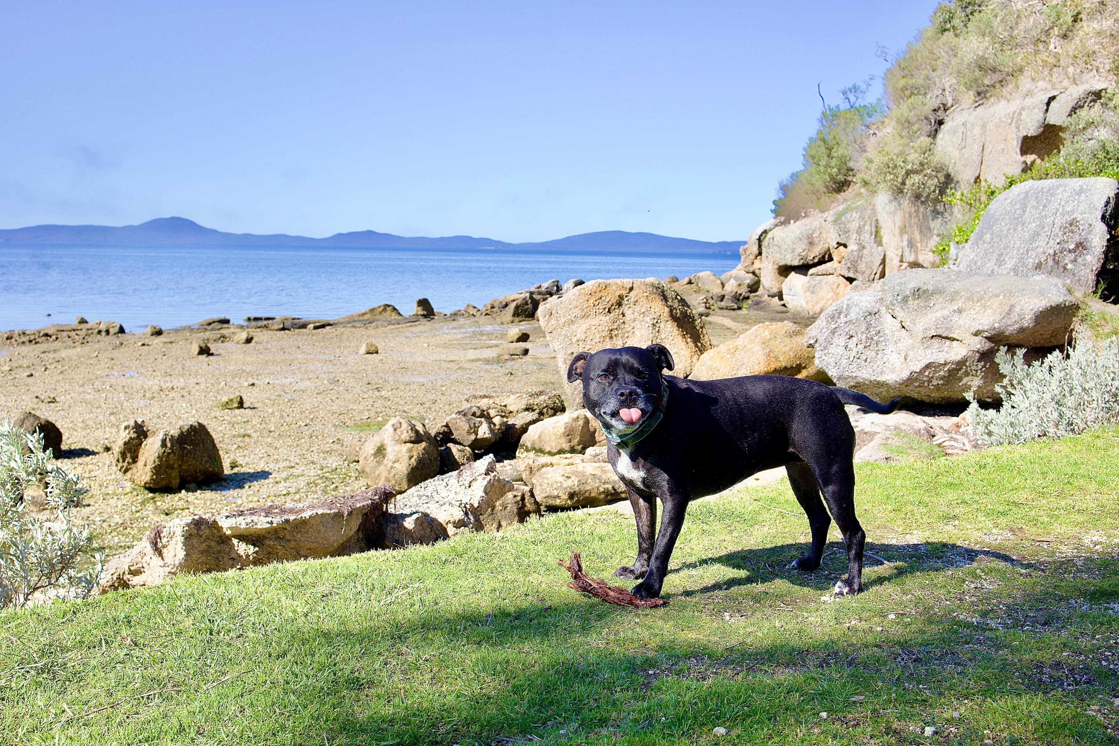 Wilsons Prom Holiday Park