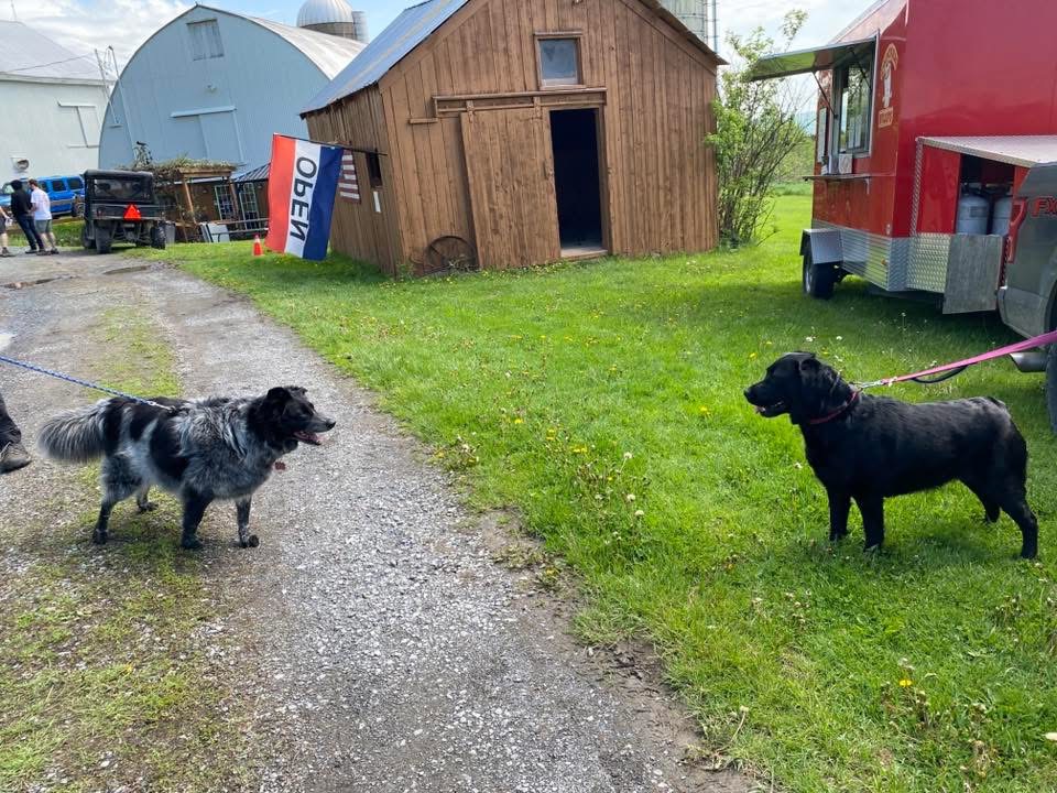 The Nests At Hummingbird Hills