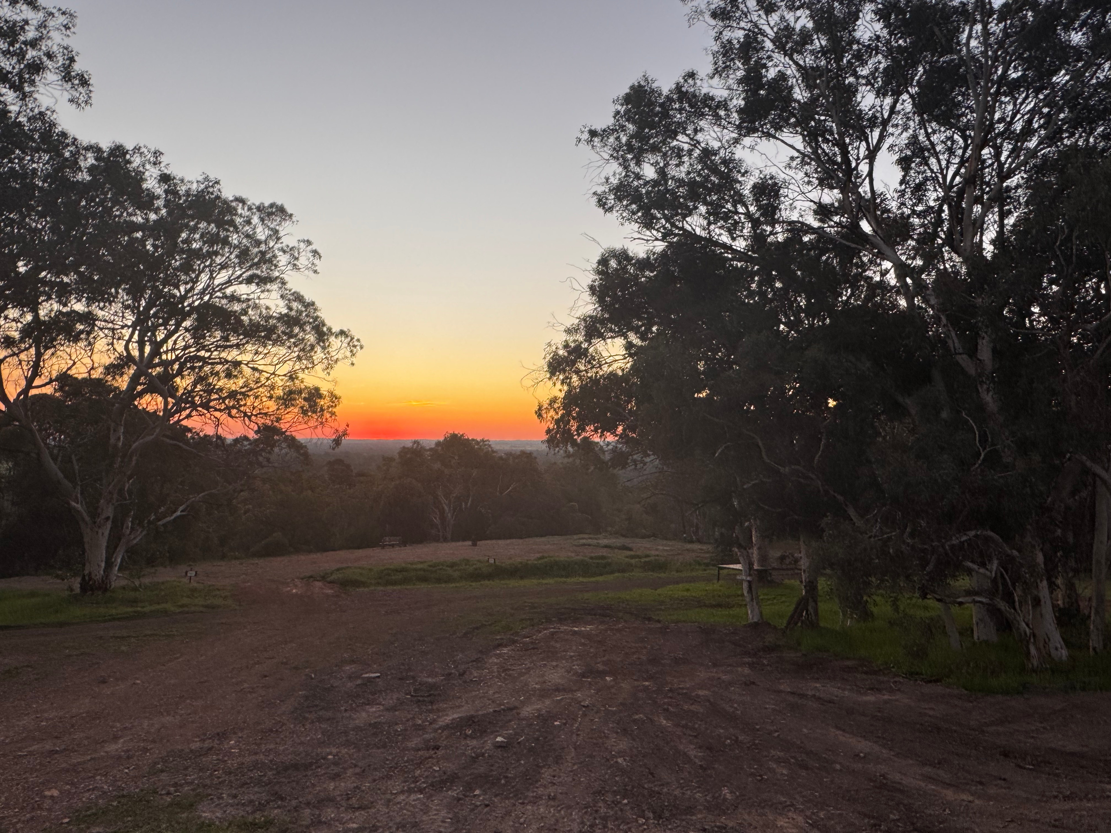 Yarrabah High Country- Jarrahdale