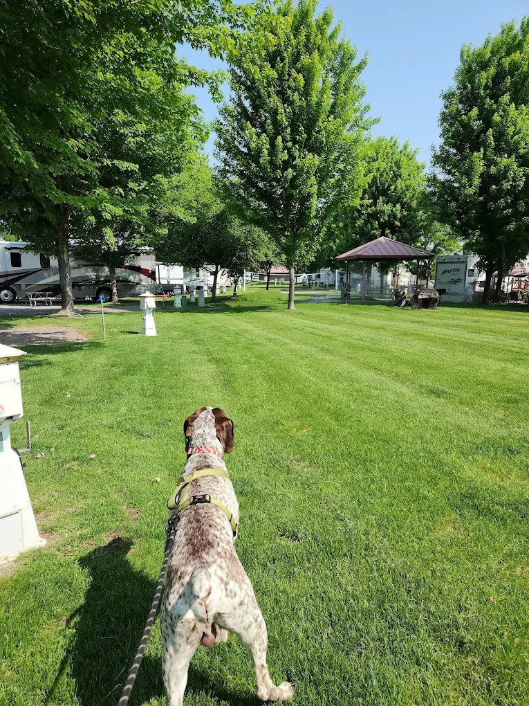 Horn Rapids RV Resort