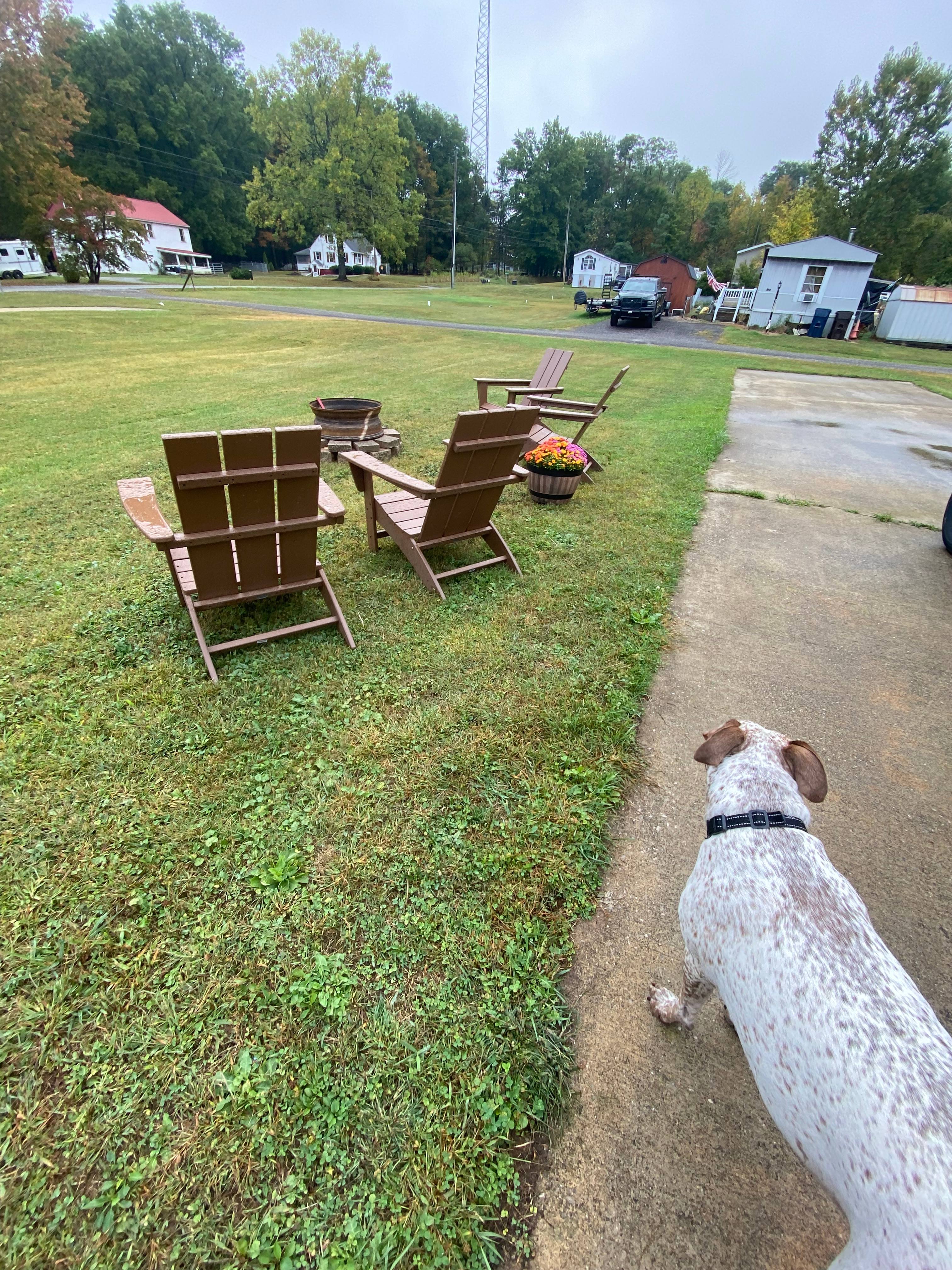 Nice concrete slabs to park on with chairs & fire pit. 