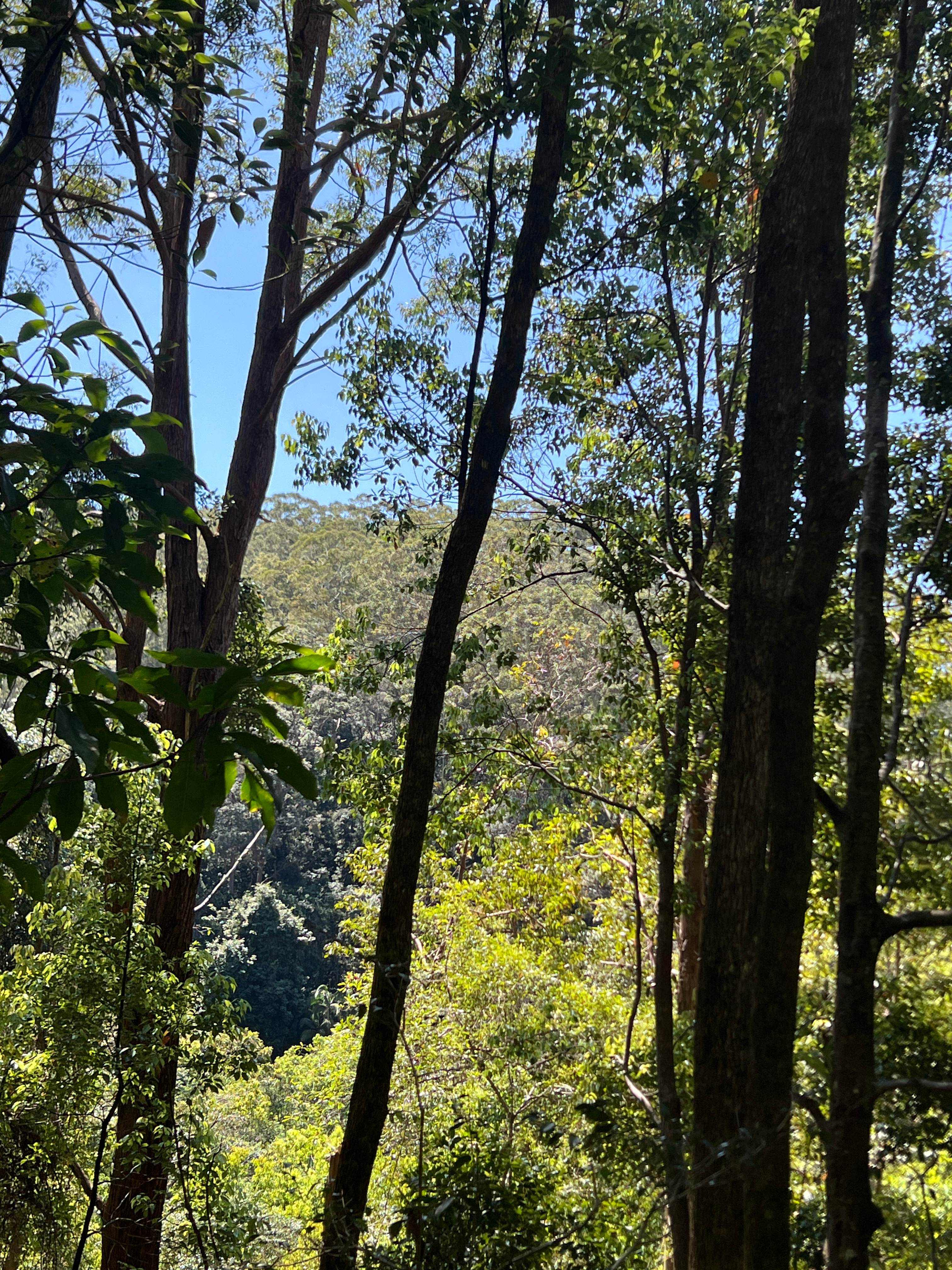 Kinabalu Farm