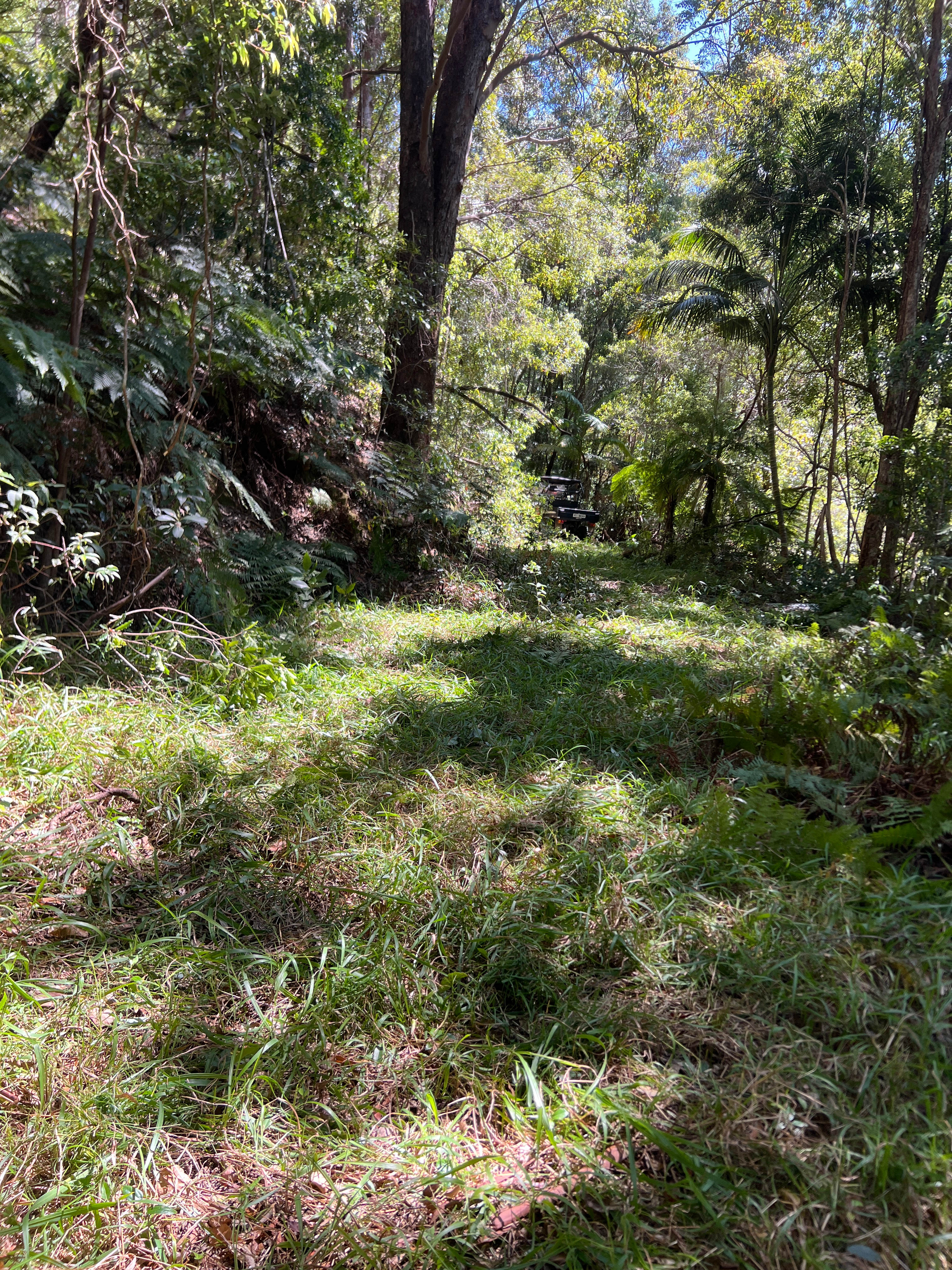 Kinabalu Farm