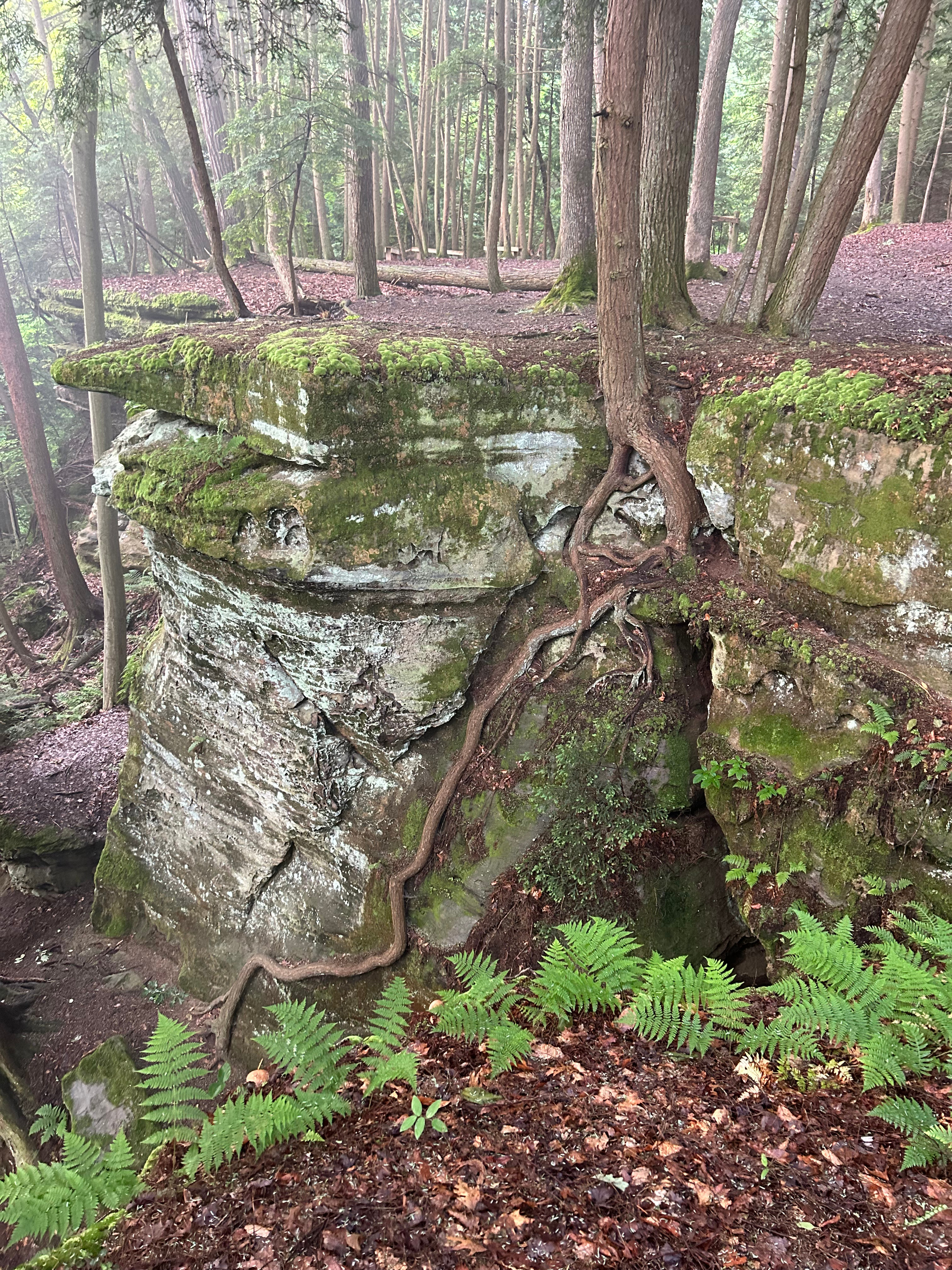 Around The Bend Cabins