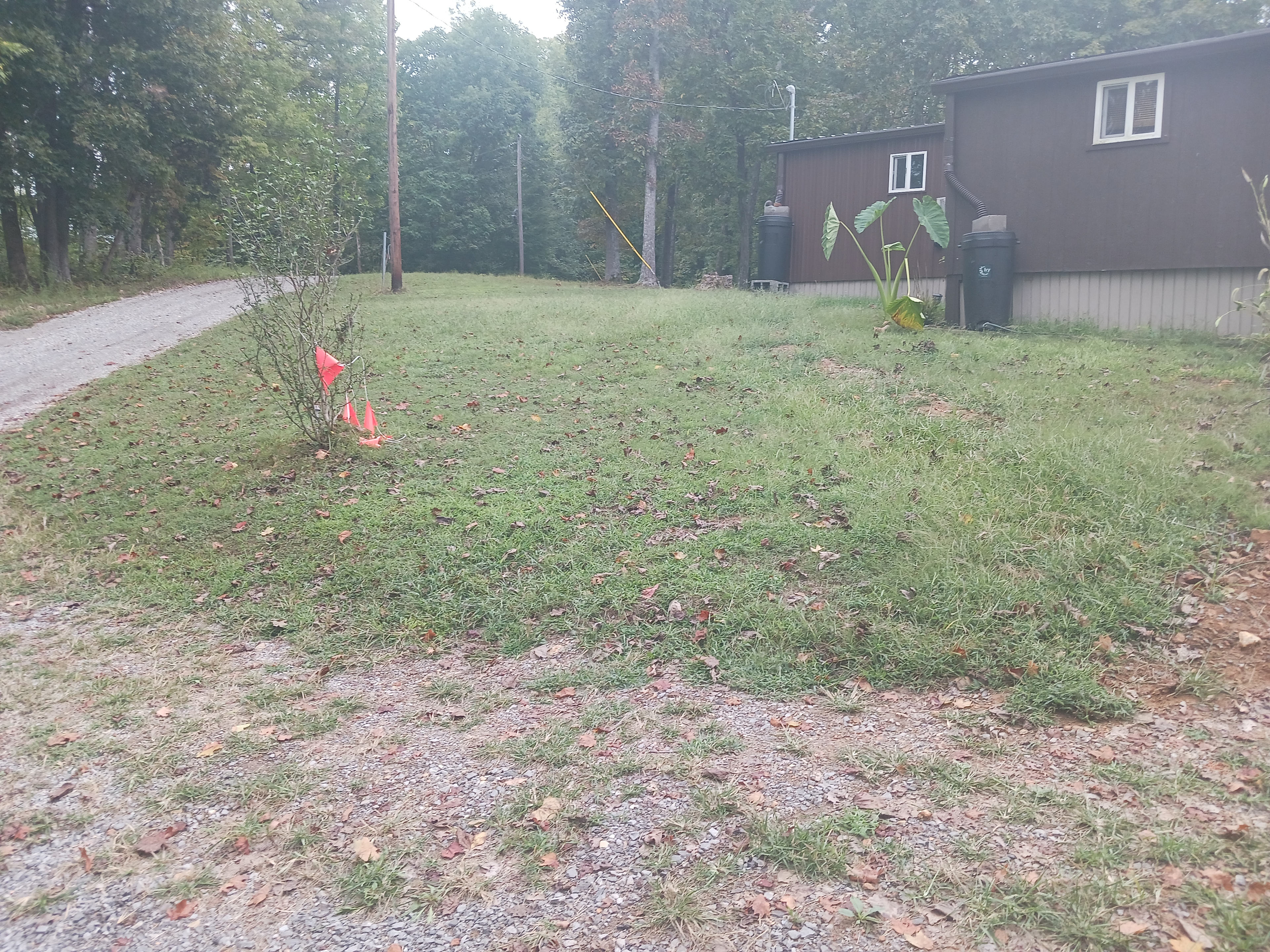 3 Jewels Peace Garden