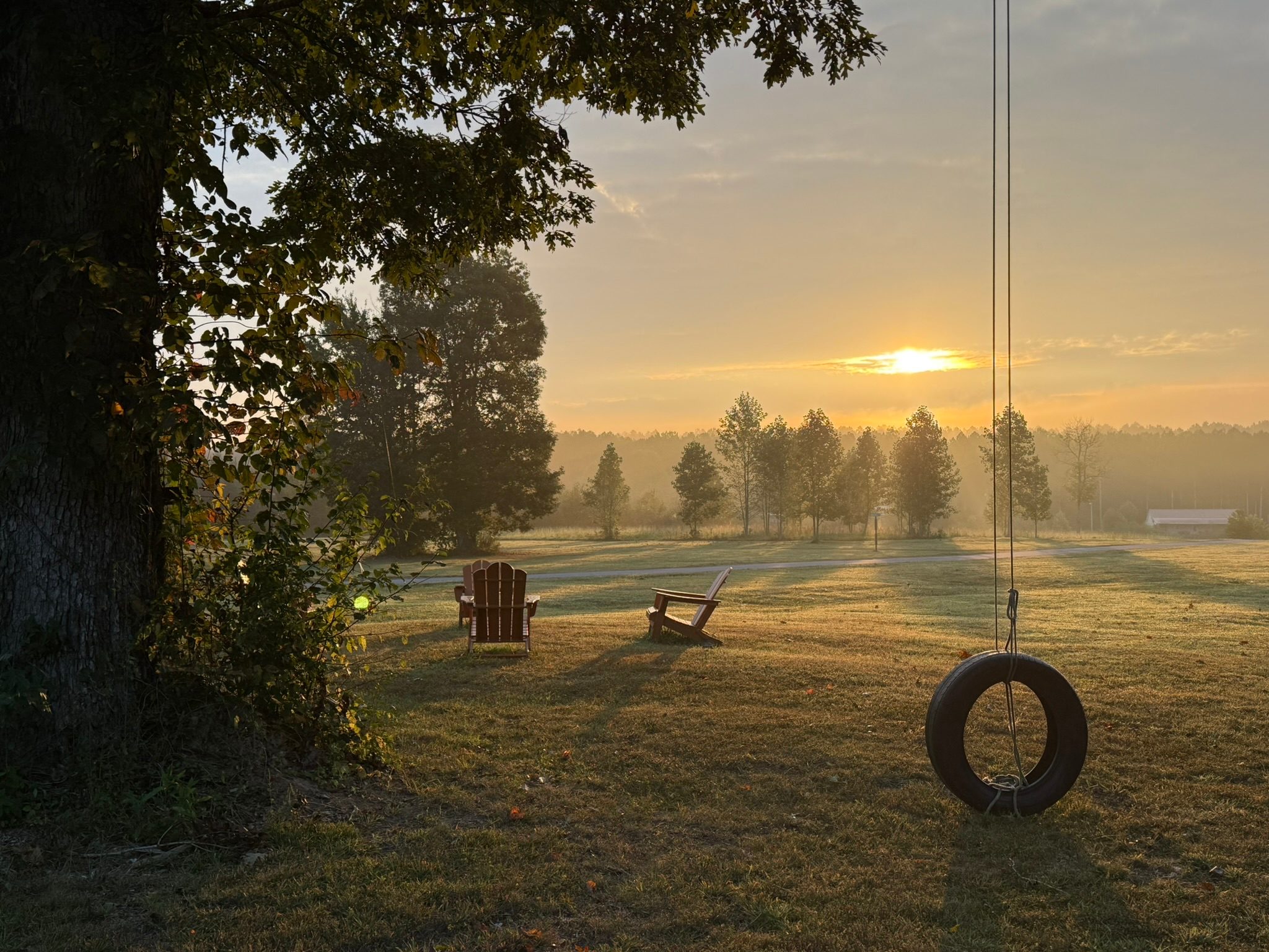 Black Bear Plantation - Campsites