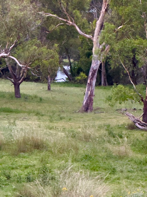 Eversleigh River side