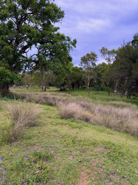 Eversleigh River side