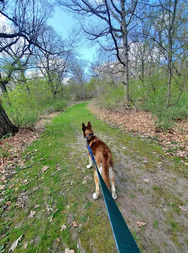 Marengo Ridge Conservation Area