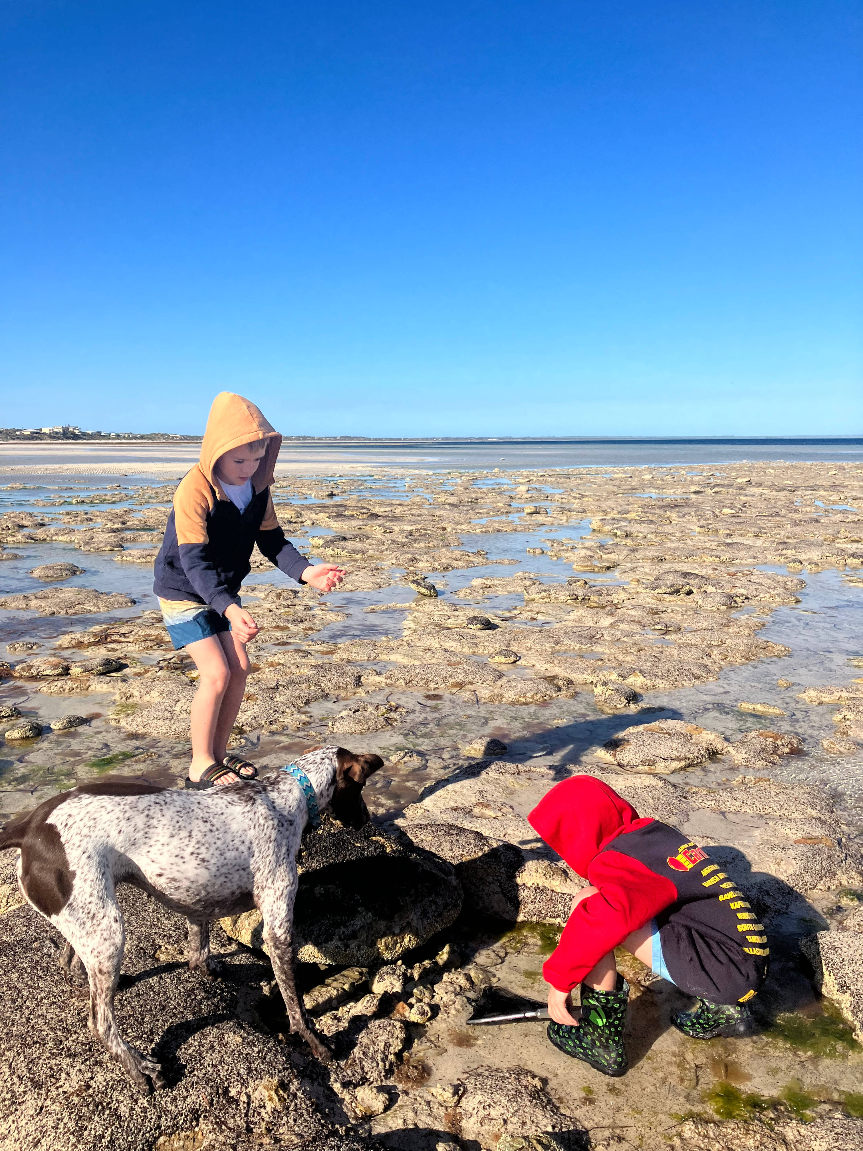 Saltbush Shack n Camp