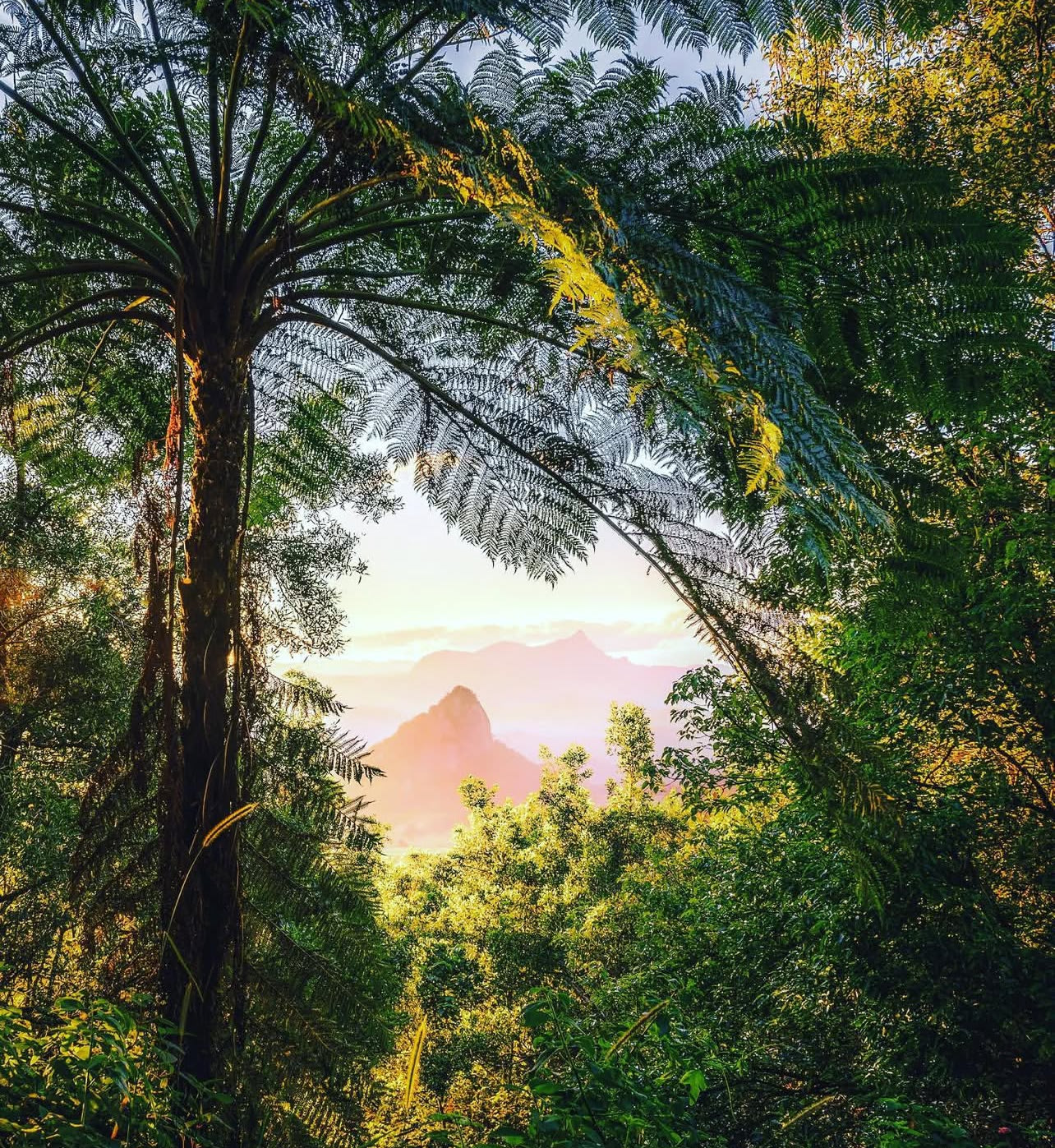 View from the top of the mountain (1 day return hike)