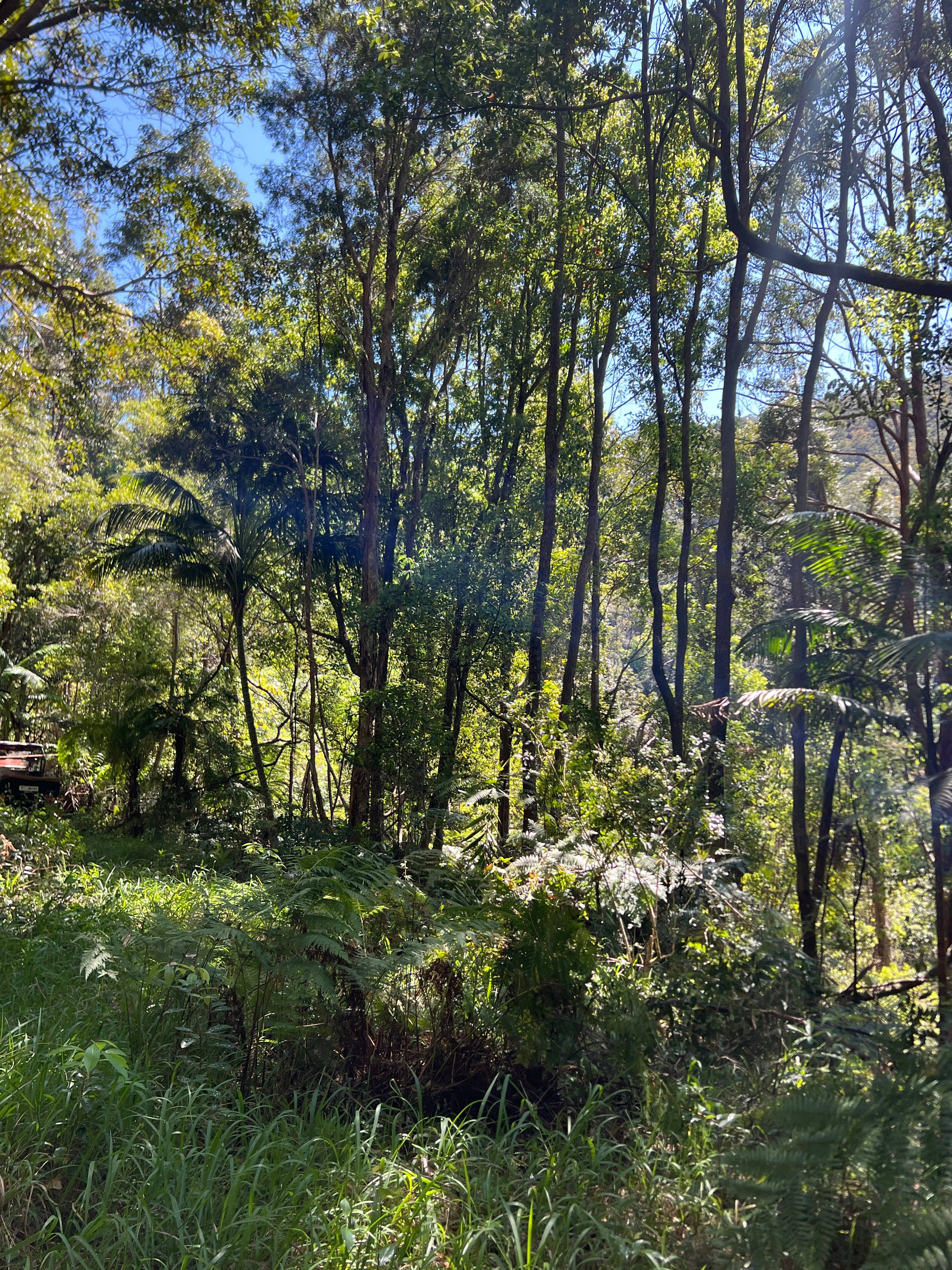 Kinabalu Farm