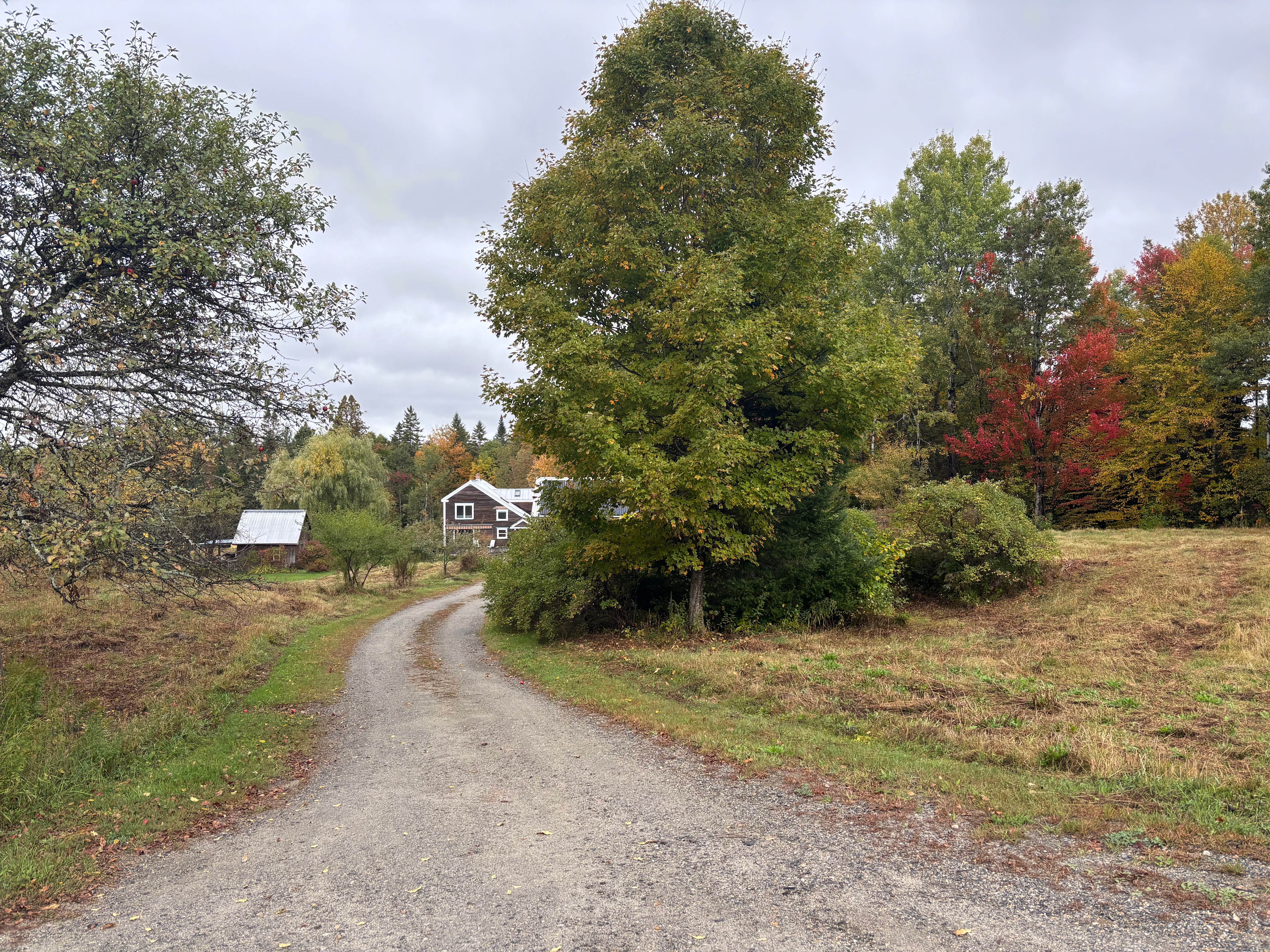 Burke Backyard Bell Tent