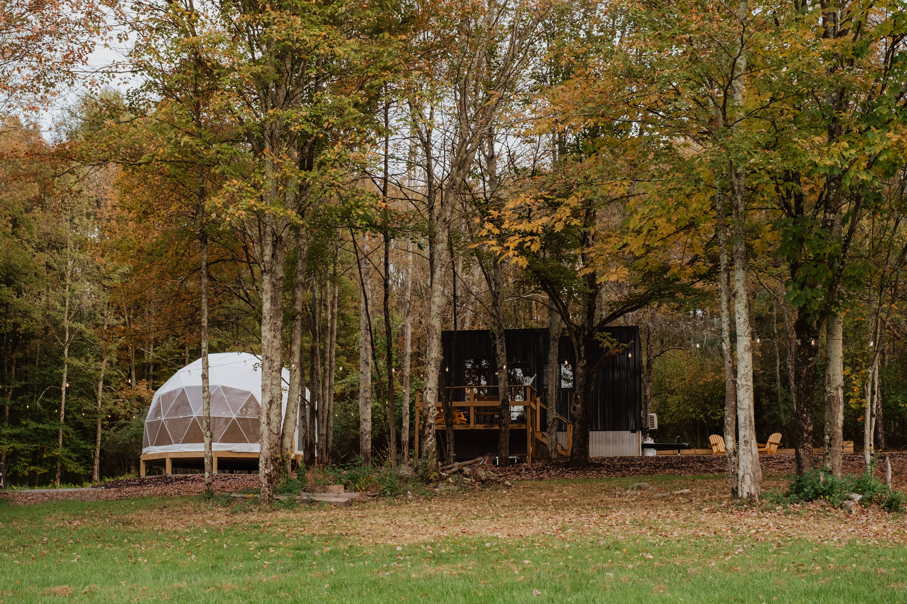 Views from the open space