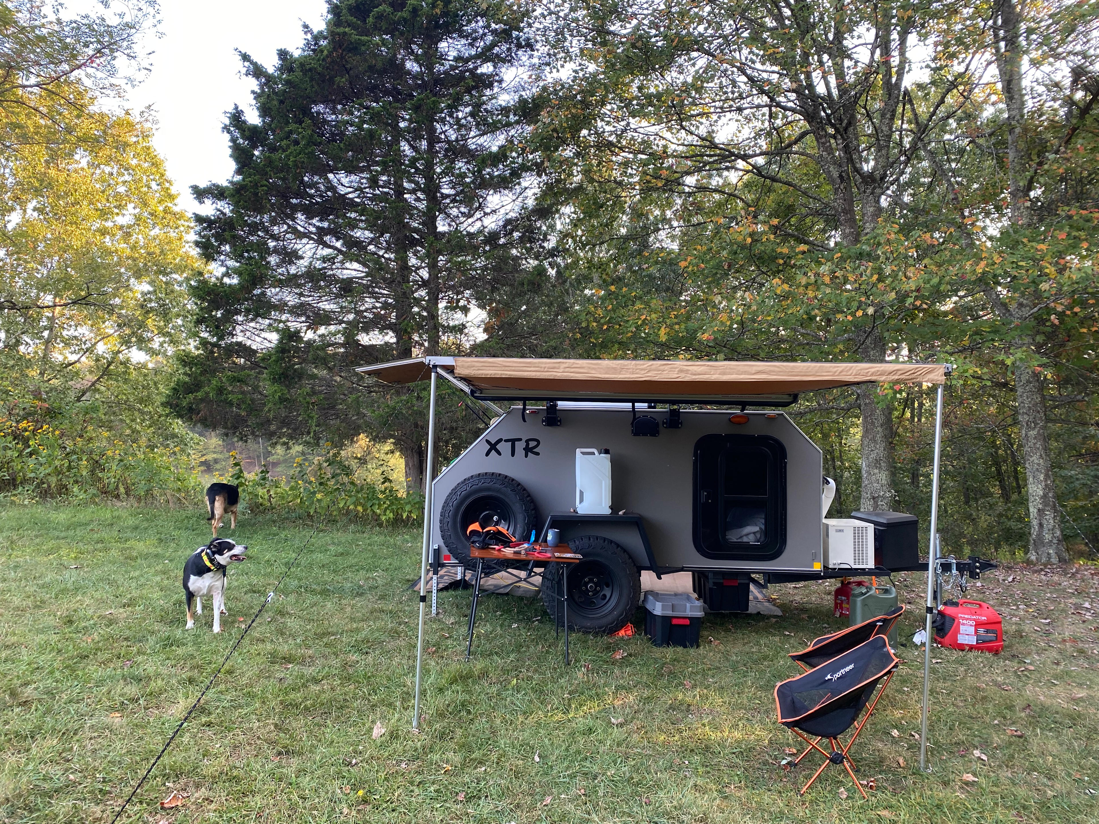 Starry Nights New River Gorge