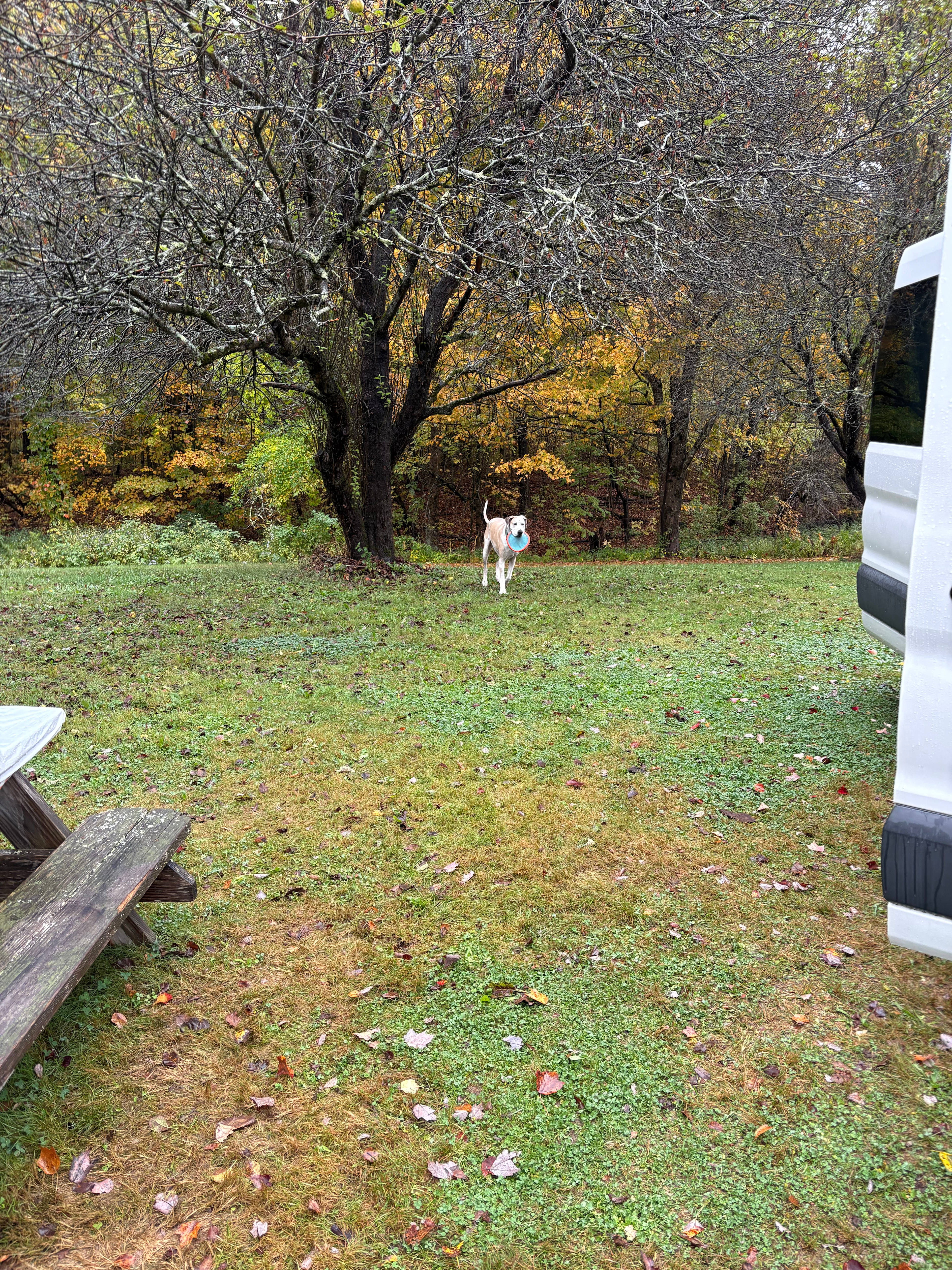 The Moose Caboose Country Farm