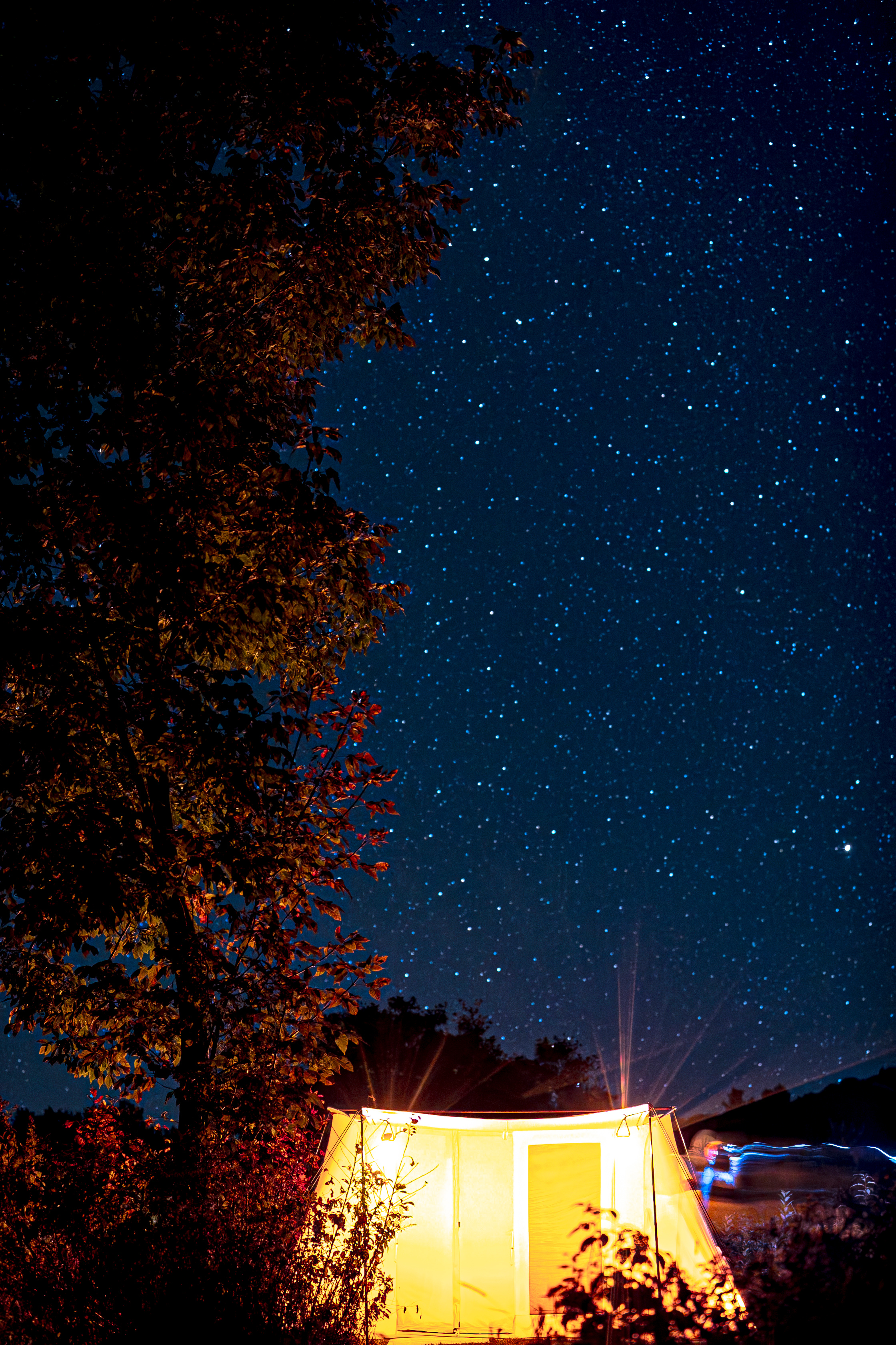 Stars over the camp site