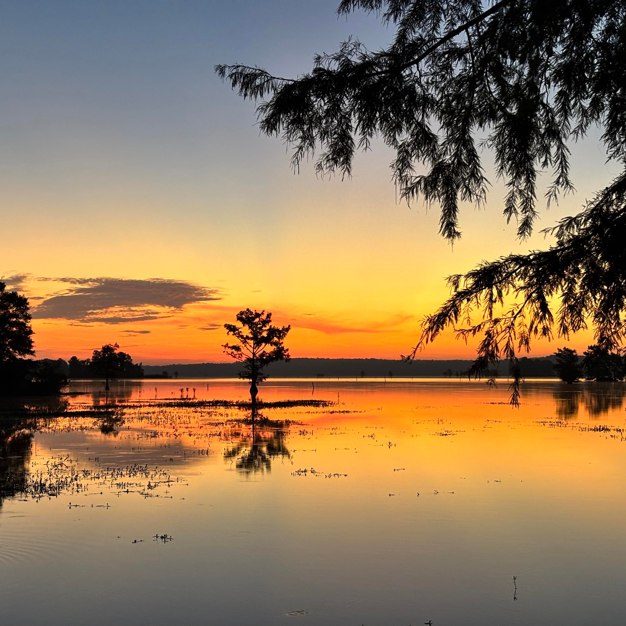 Anacoco Lake Spillway Rv Park And Grocery