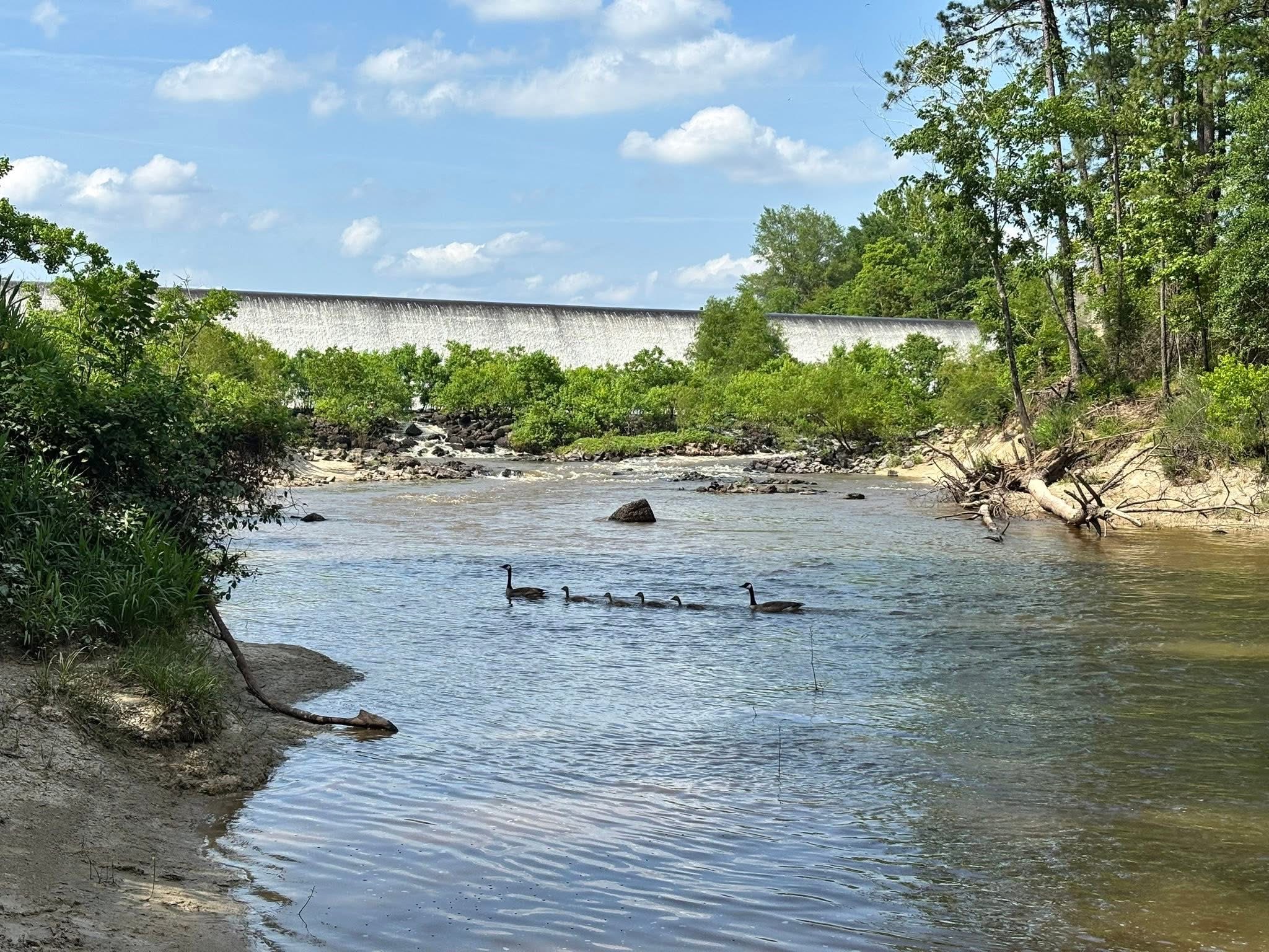 Anacoco Lake Spillway Rv Park And Grocery