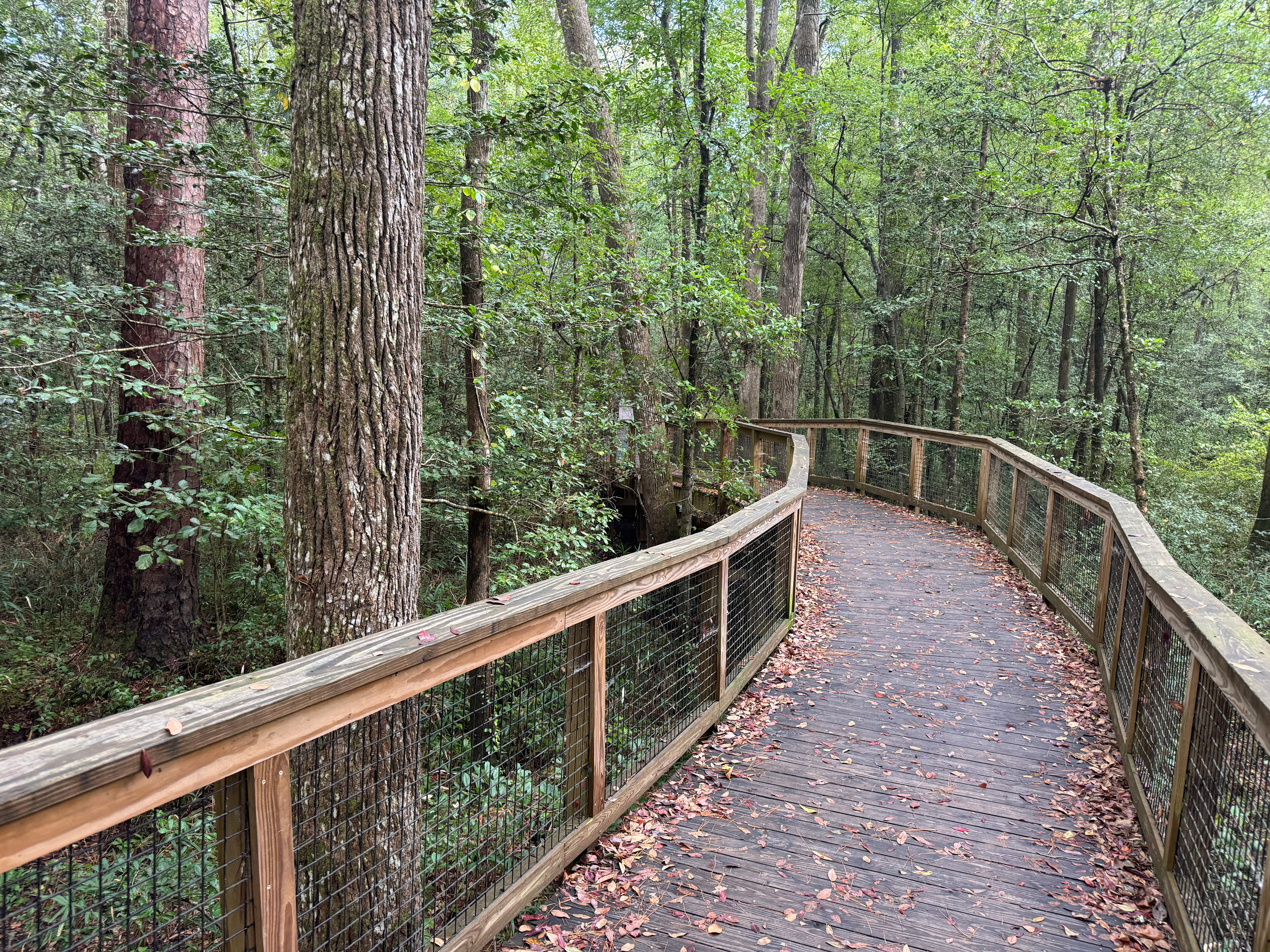 Long Leaf Campground