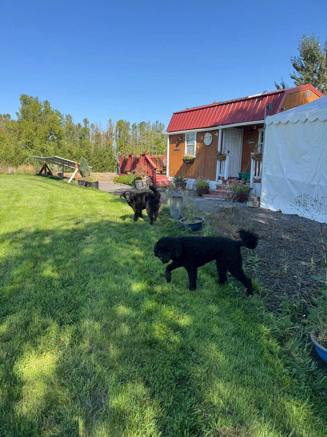 Miranda's Farm and Recreation