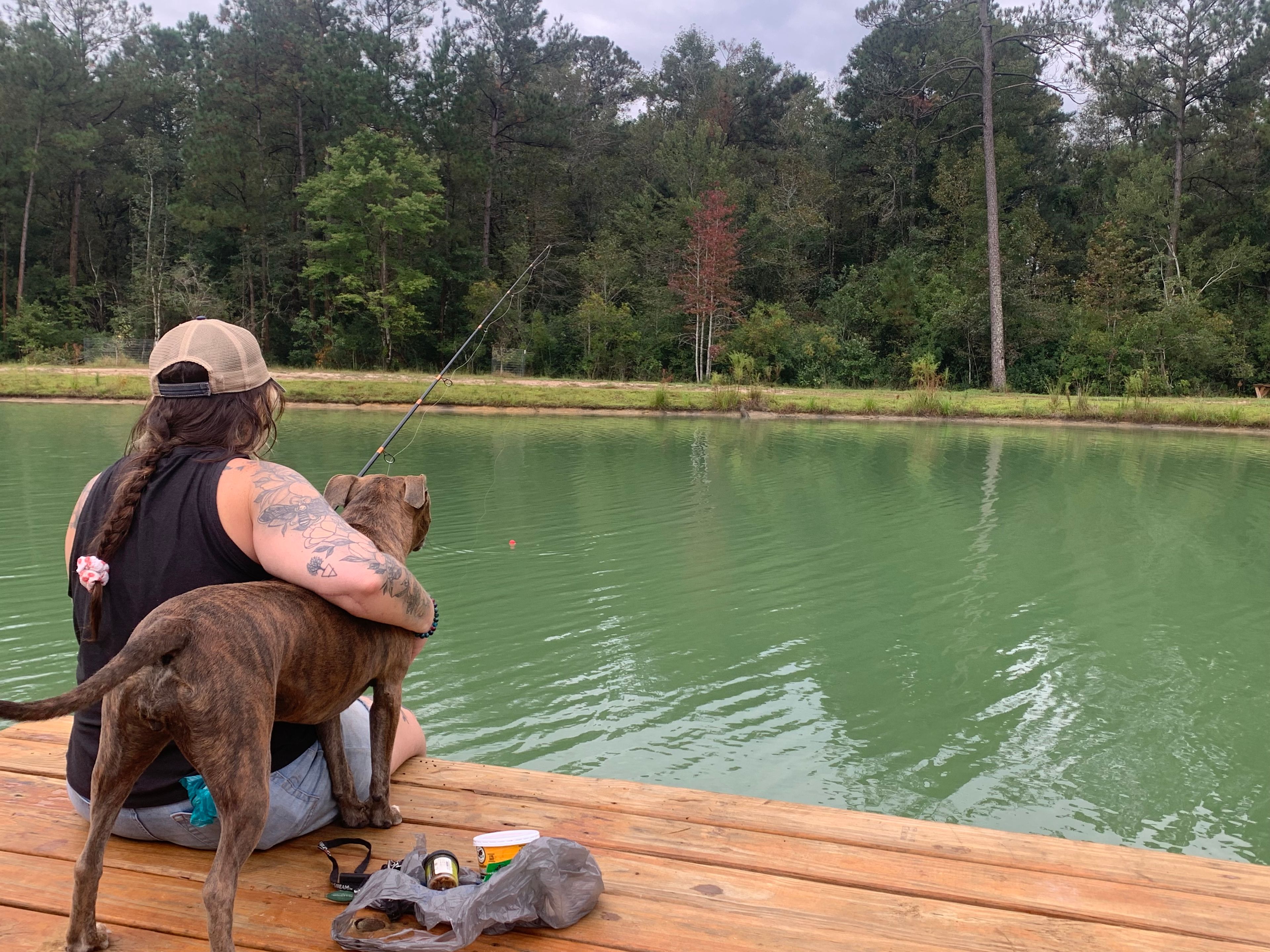 Friendly neighbor dog