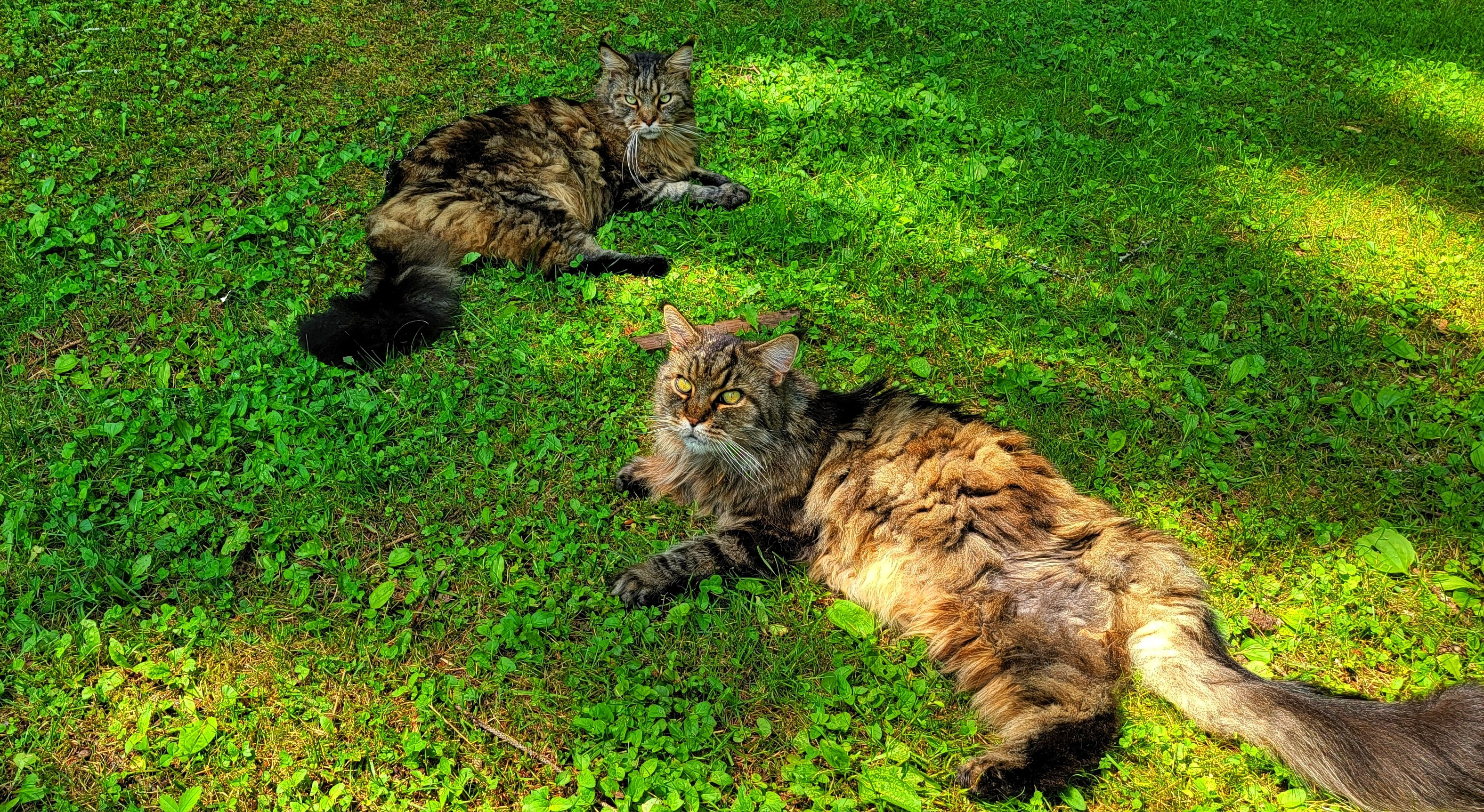 Upper Esopus Creekside Camp