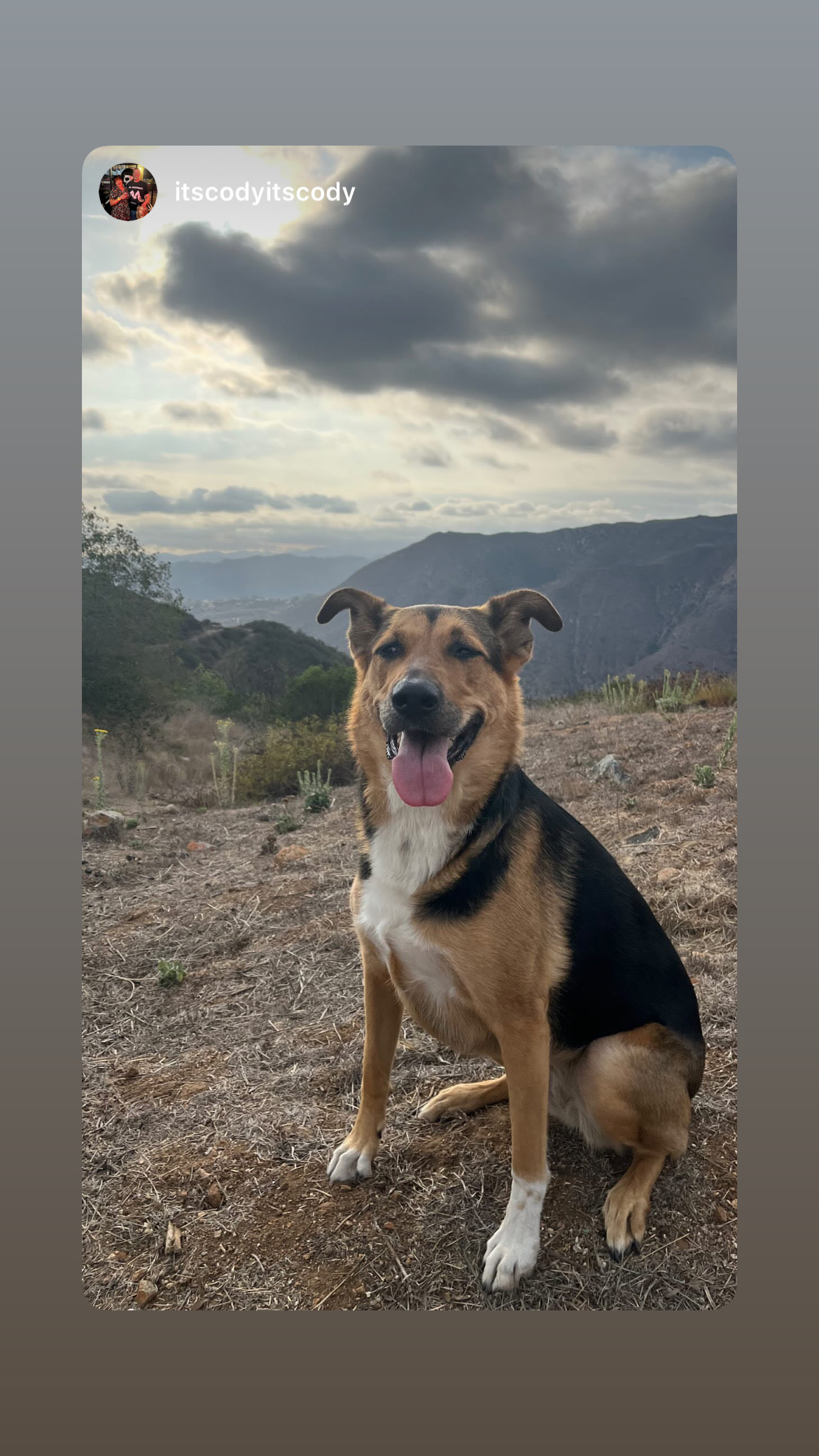 Fallbrook View Glamping Tent