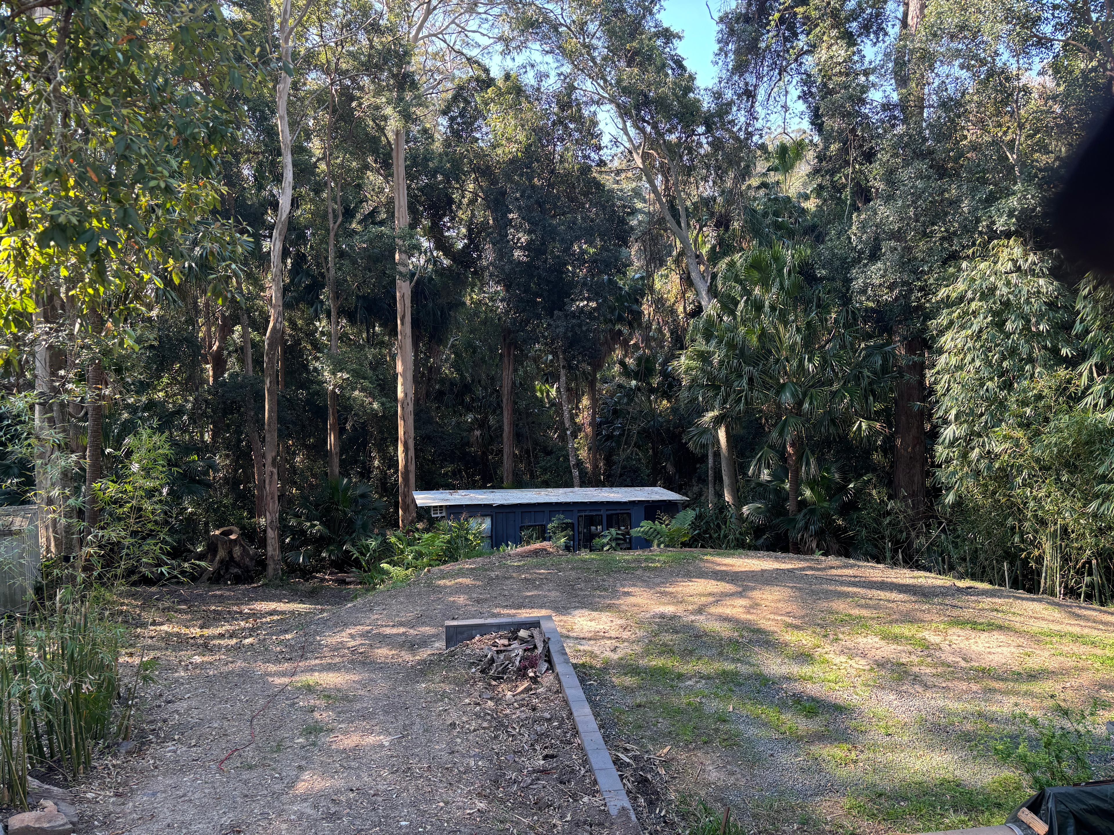 Land By Rainforest Near Lake