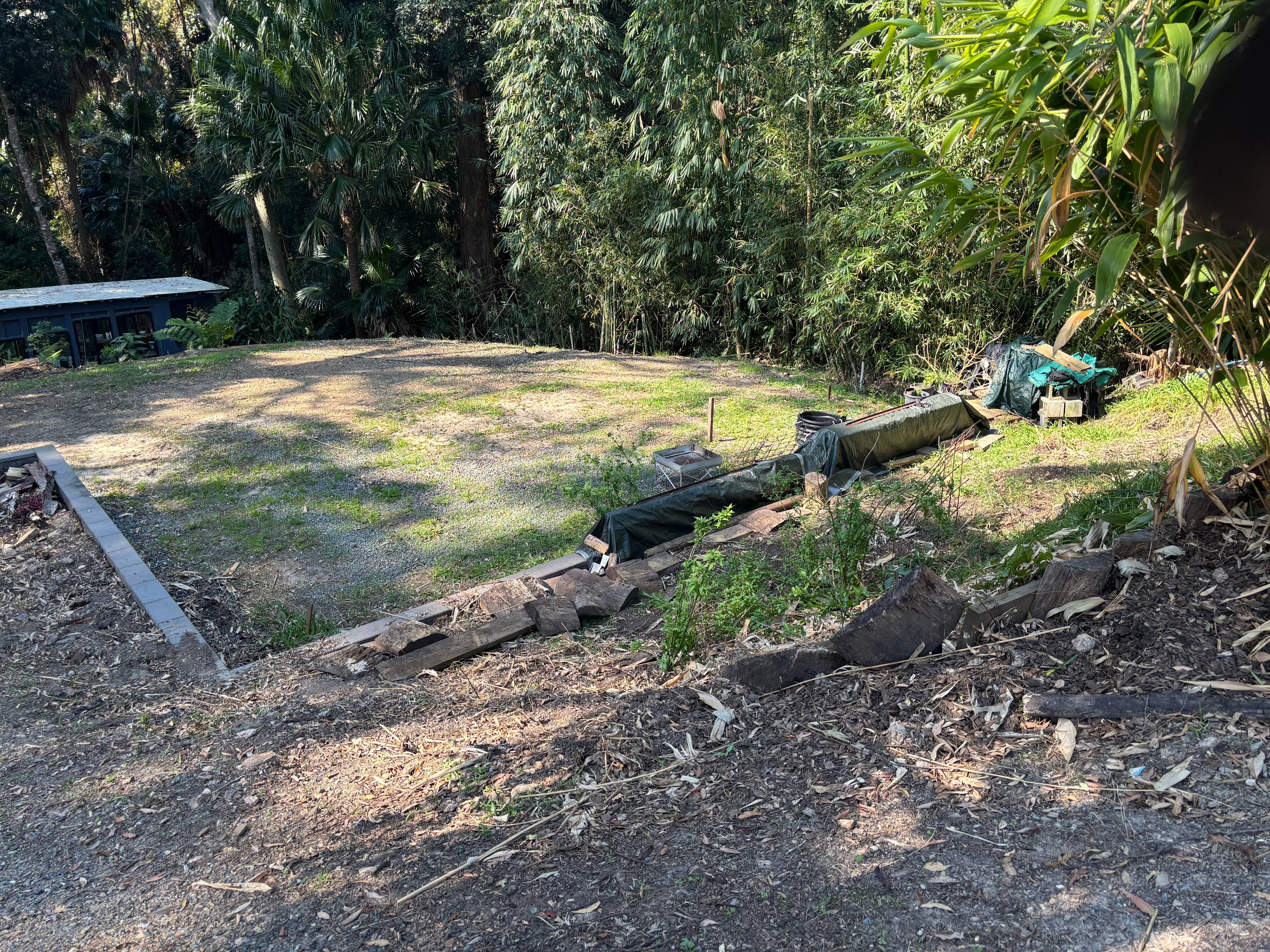 Land By Rainforest Near Lake