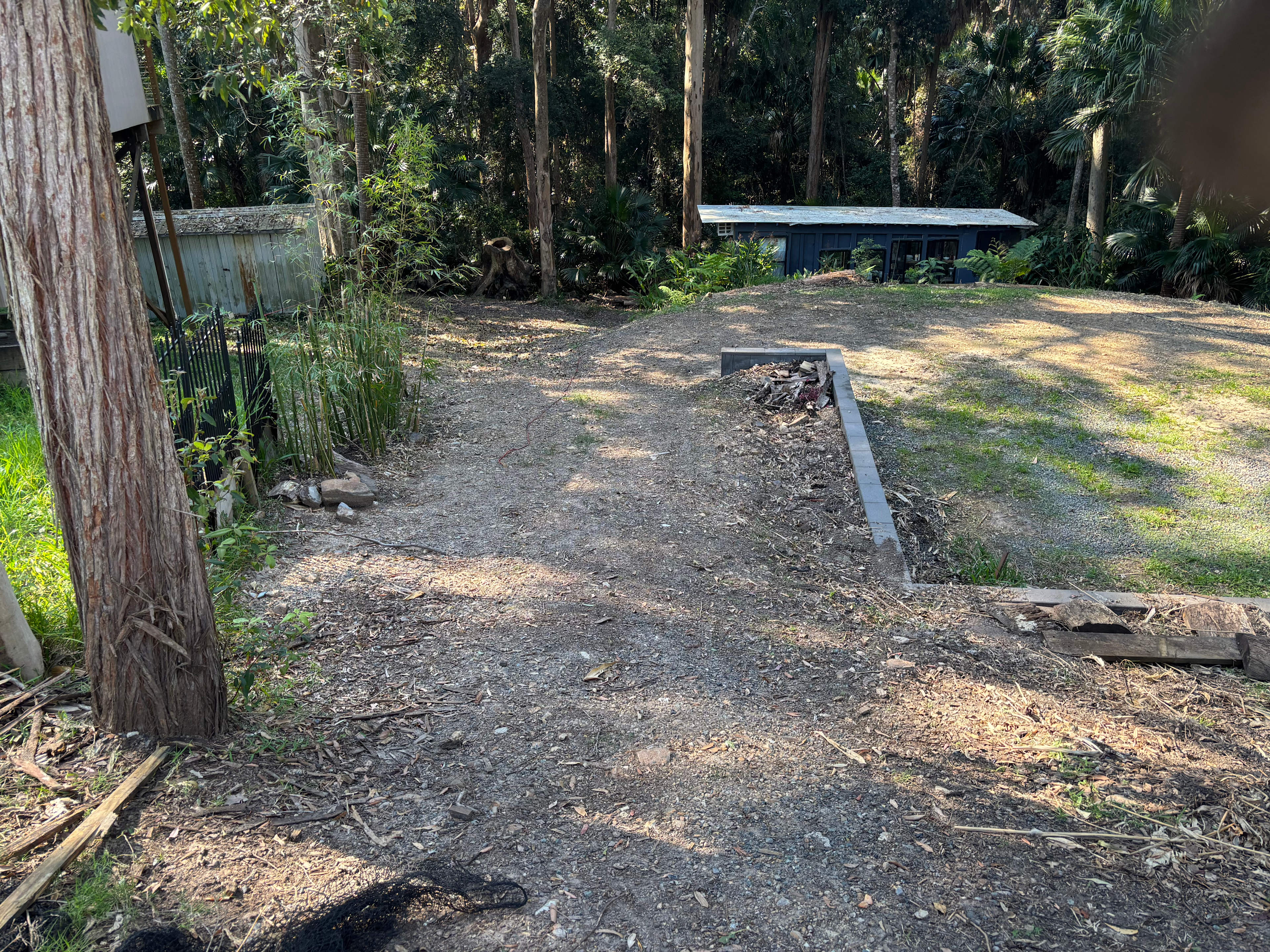 Land By Rainforest Near Lake
