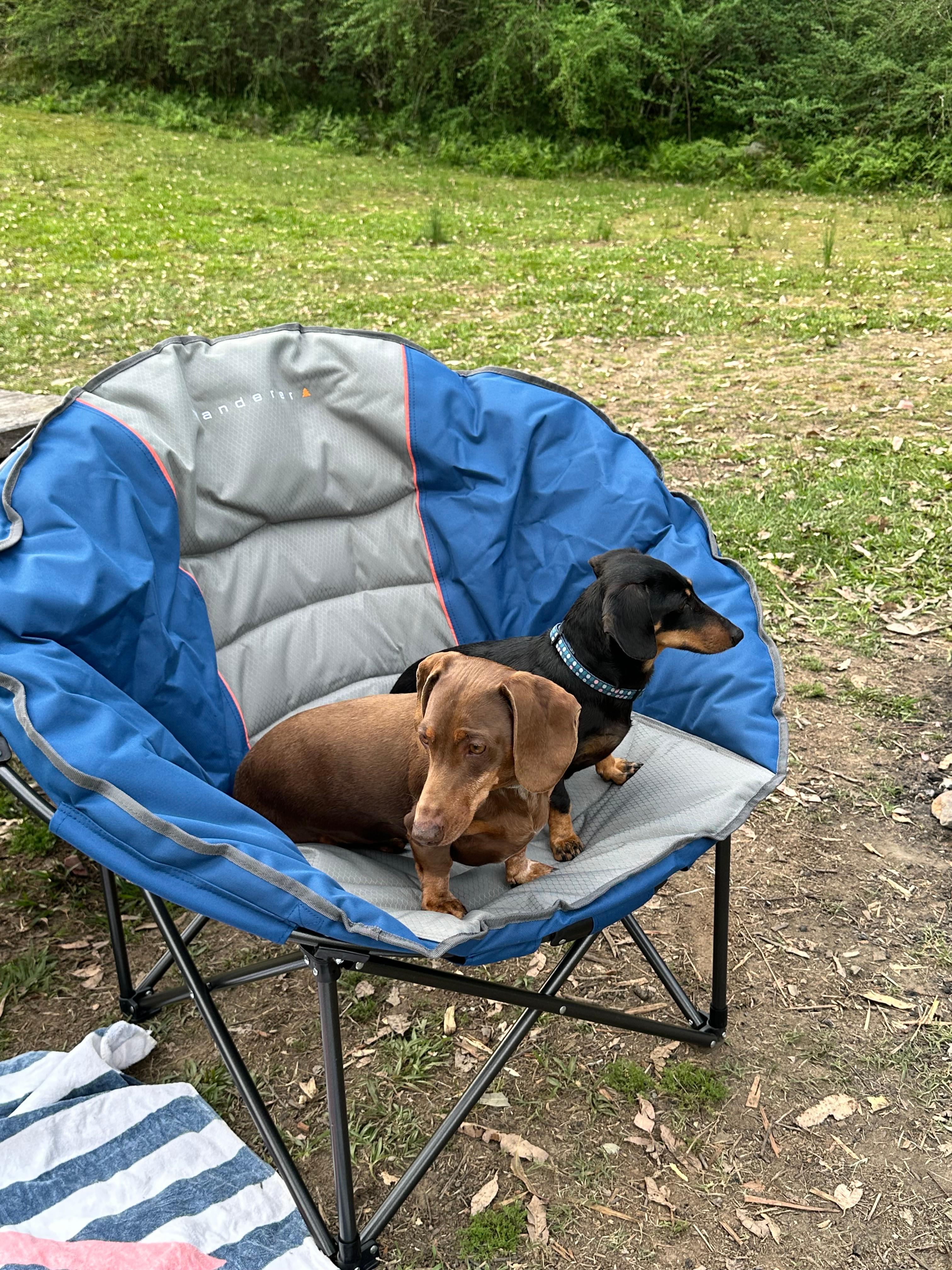 Levenvale Farm in Bellingen