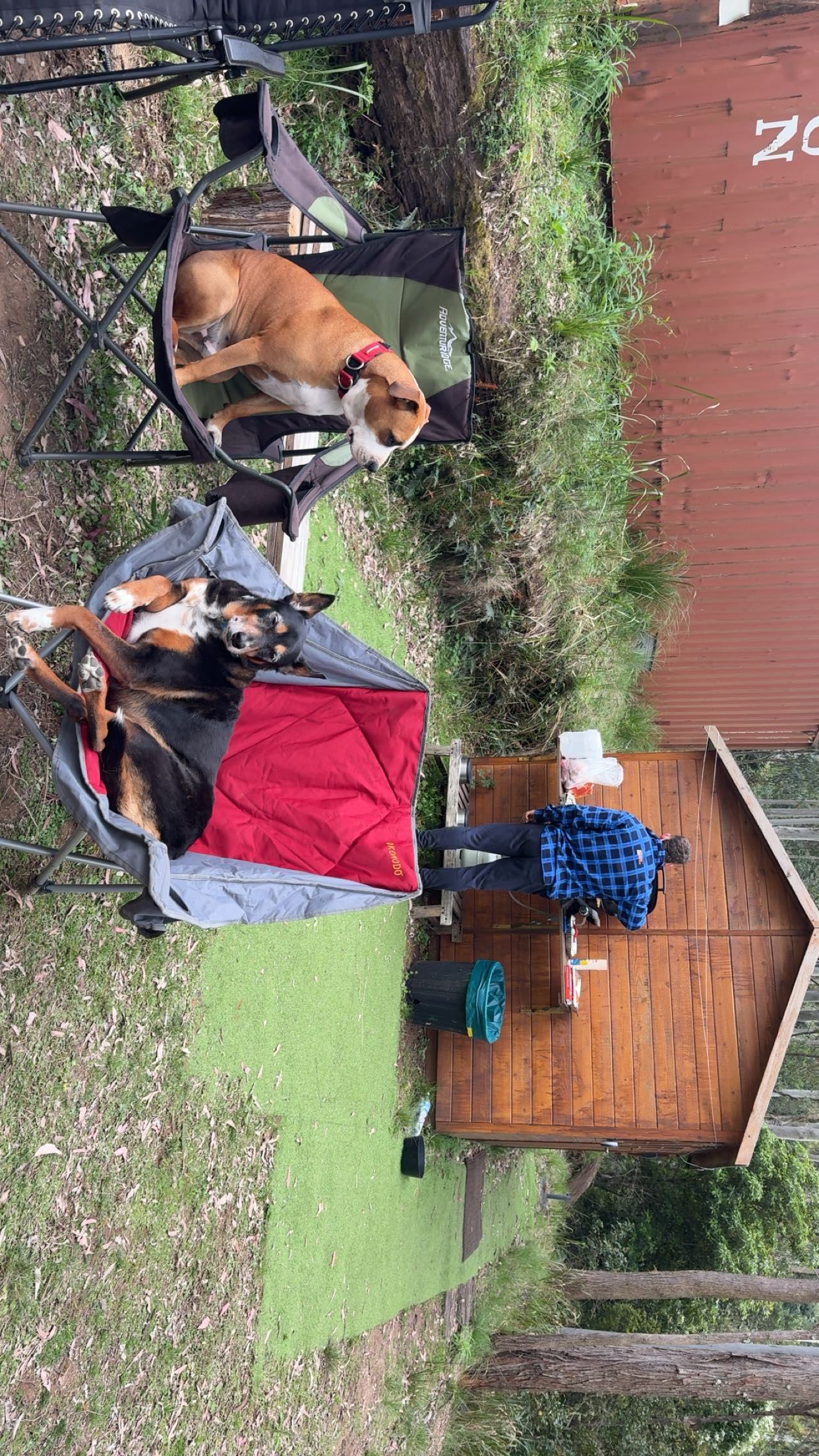 Little Brothers Adventure Park