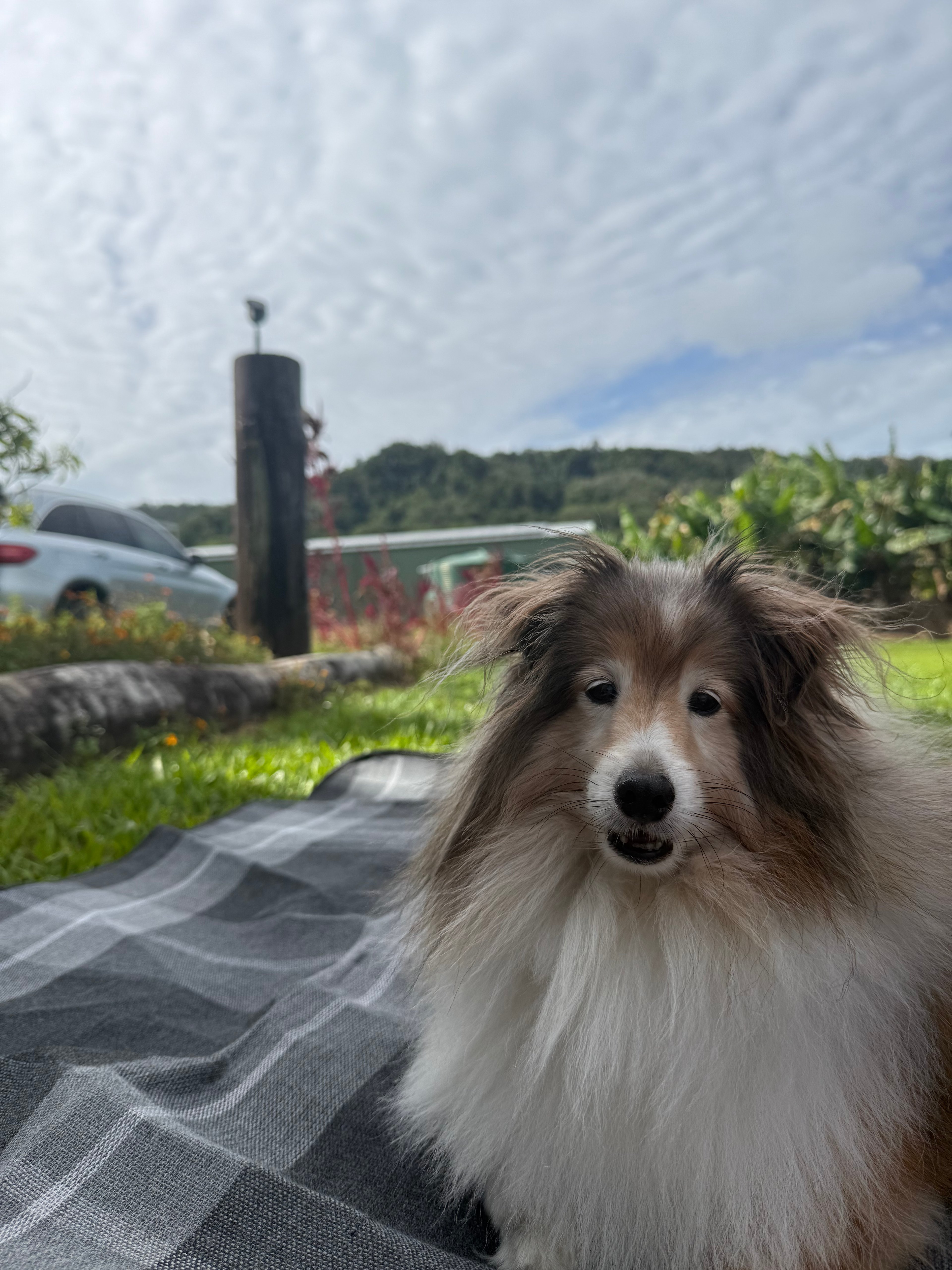 Kingston Road Farm Stay